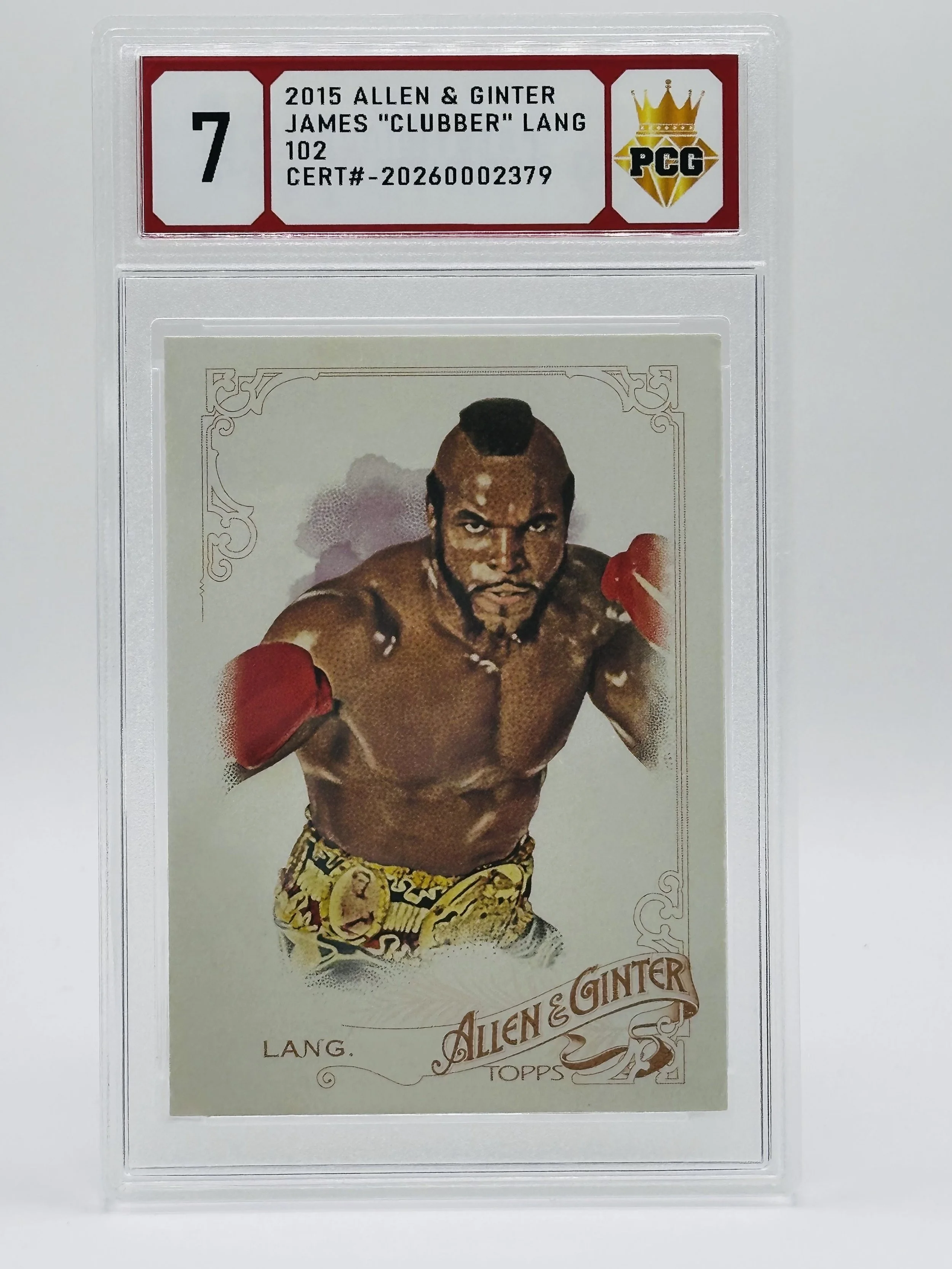#20260002379 2015 CLUBBER LANG 7