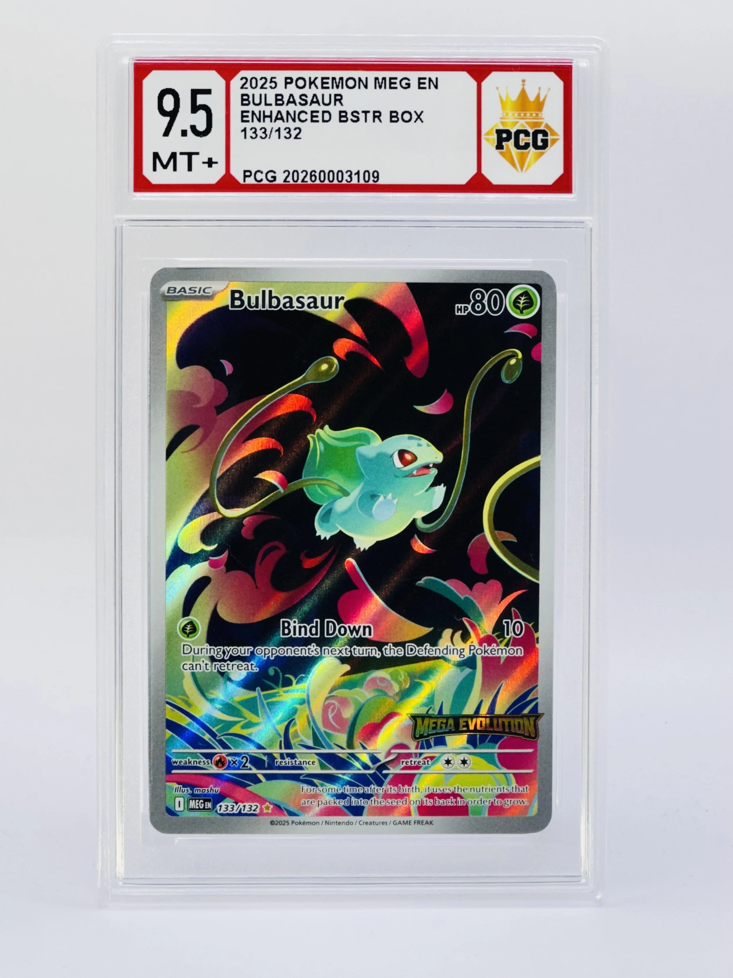#20260003109 2025 BULBASAUR 9.5 MT+