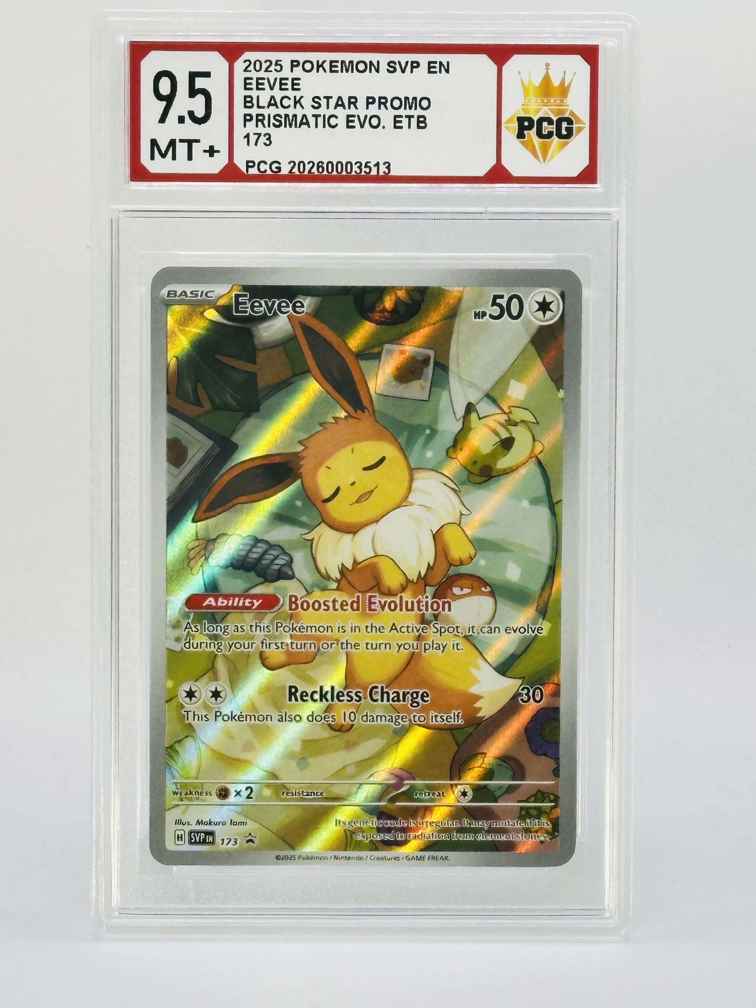 #20260003513 2025 EEVEE 9.5 MT+