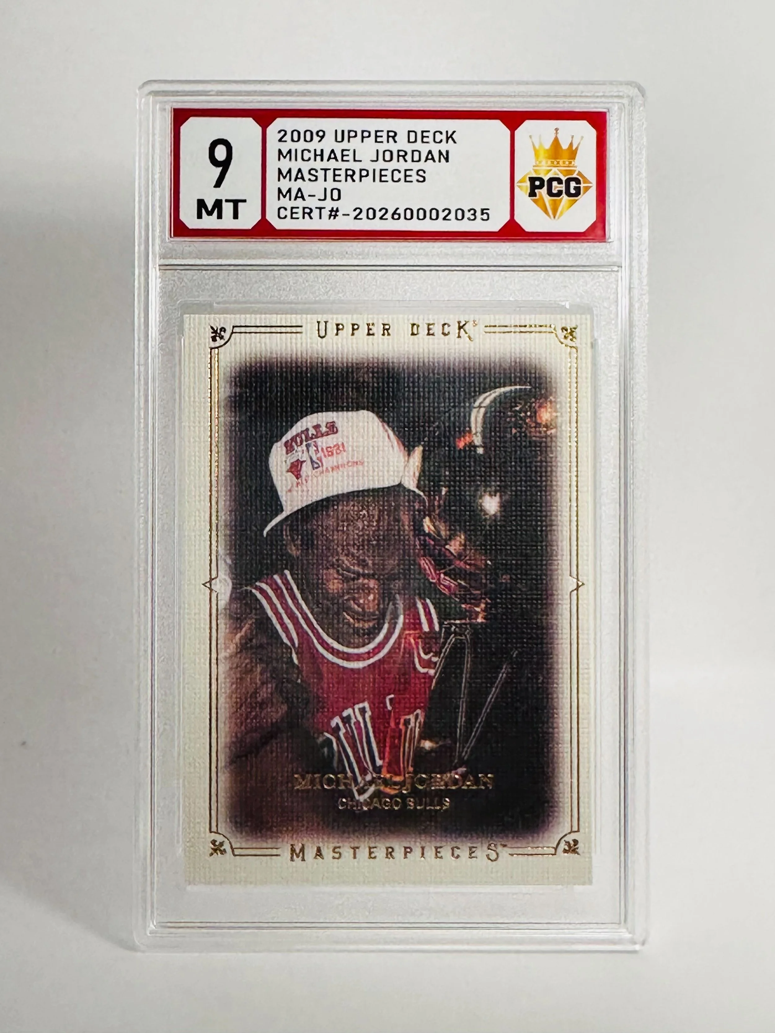 #20260002035 2009 MICHAEL JORDAN 9 MT