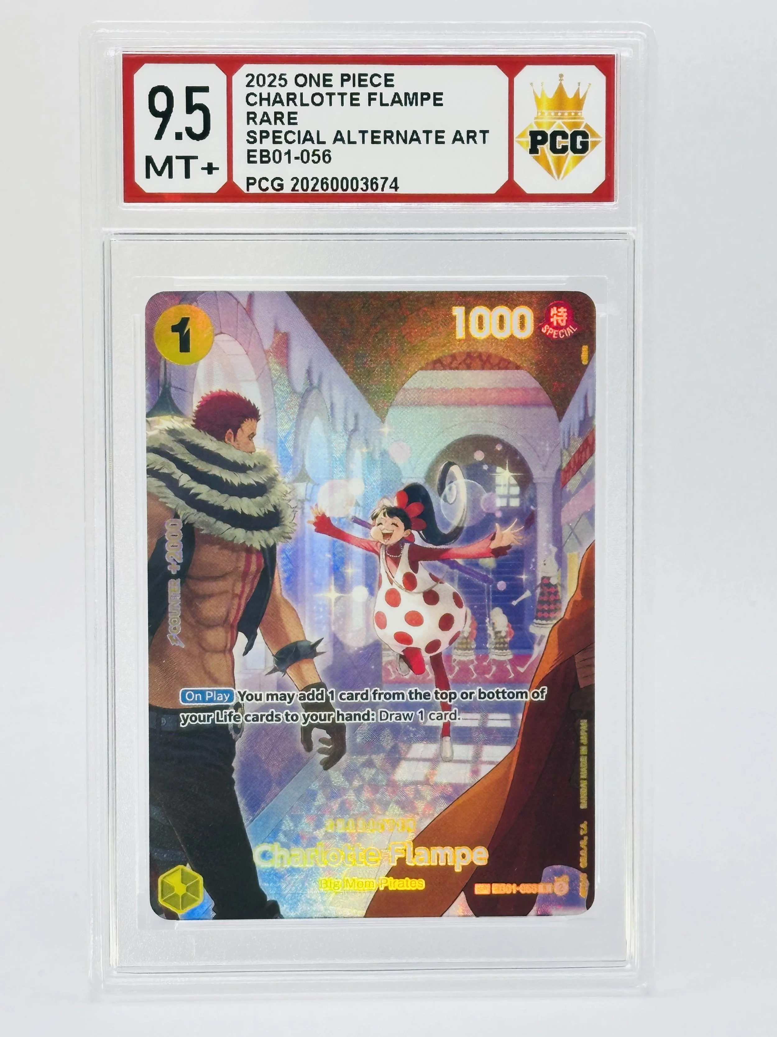 #20260003674 2025 CHARLOTTE FLAMPE 9.5 MT+