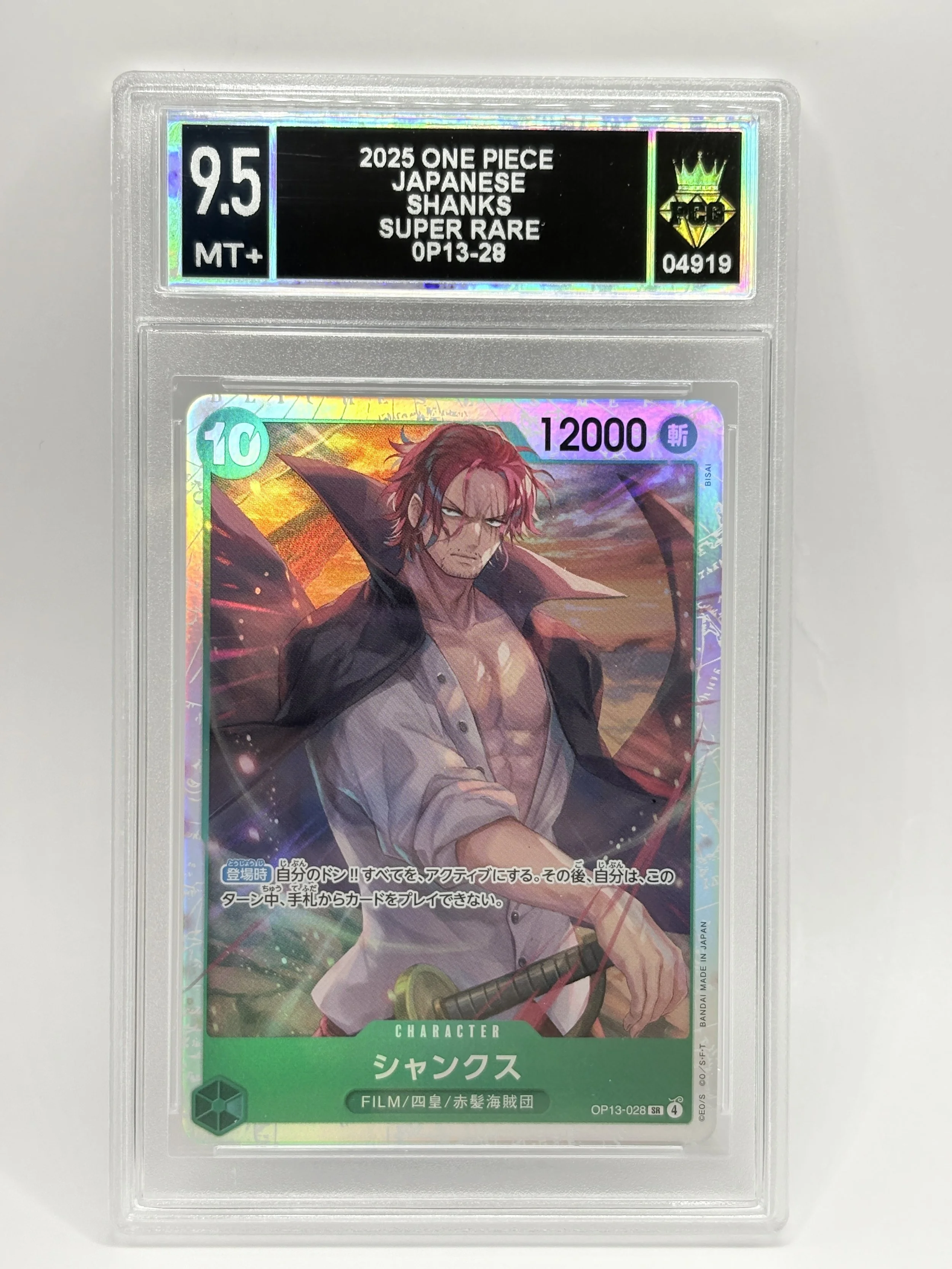 #20260004919 2025 SHANKS 9.5 MT+