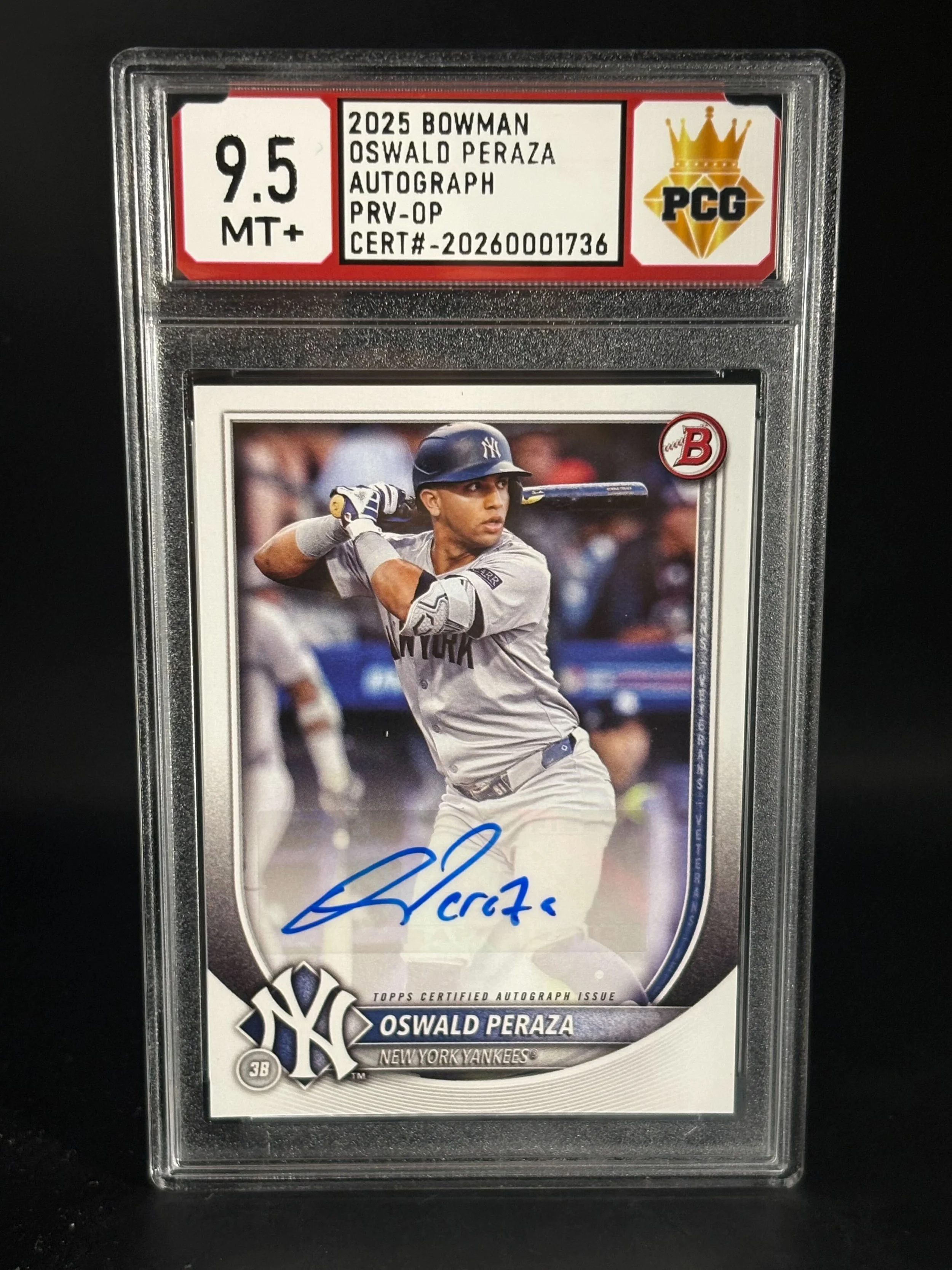 #20260001736 2025 OSWALD PERAZA 9.5 MT+