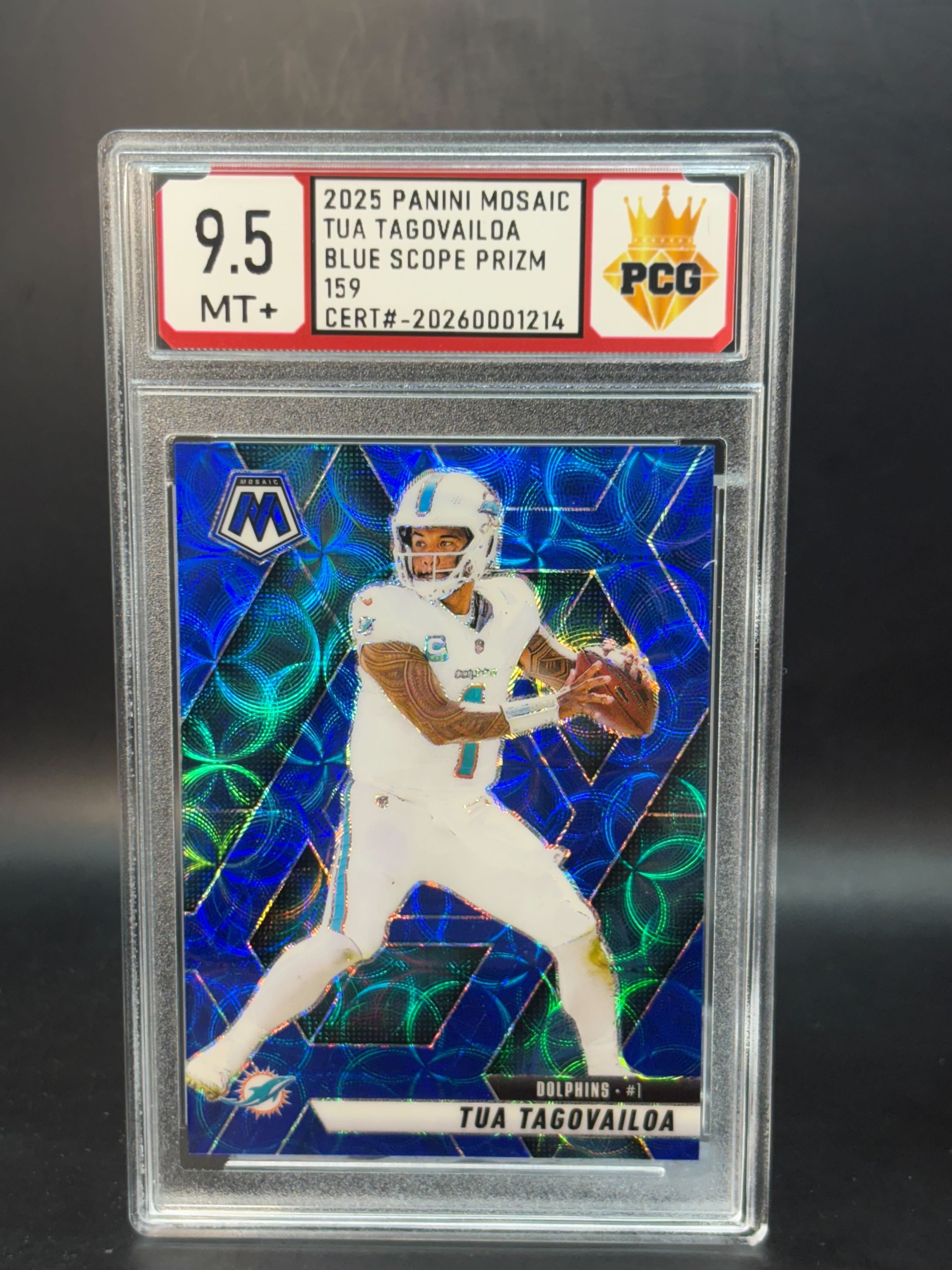 #20260001214 2025 TUA TAGOVIALOA 9.5 MT