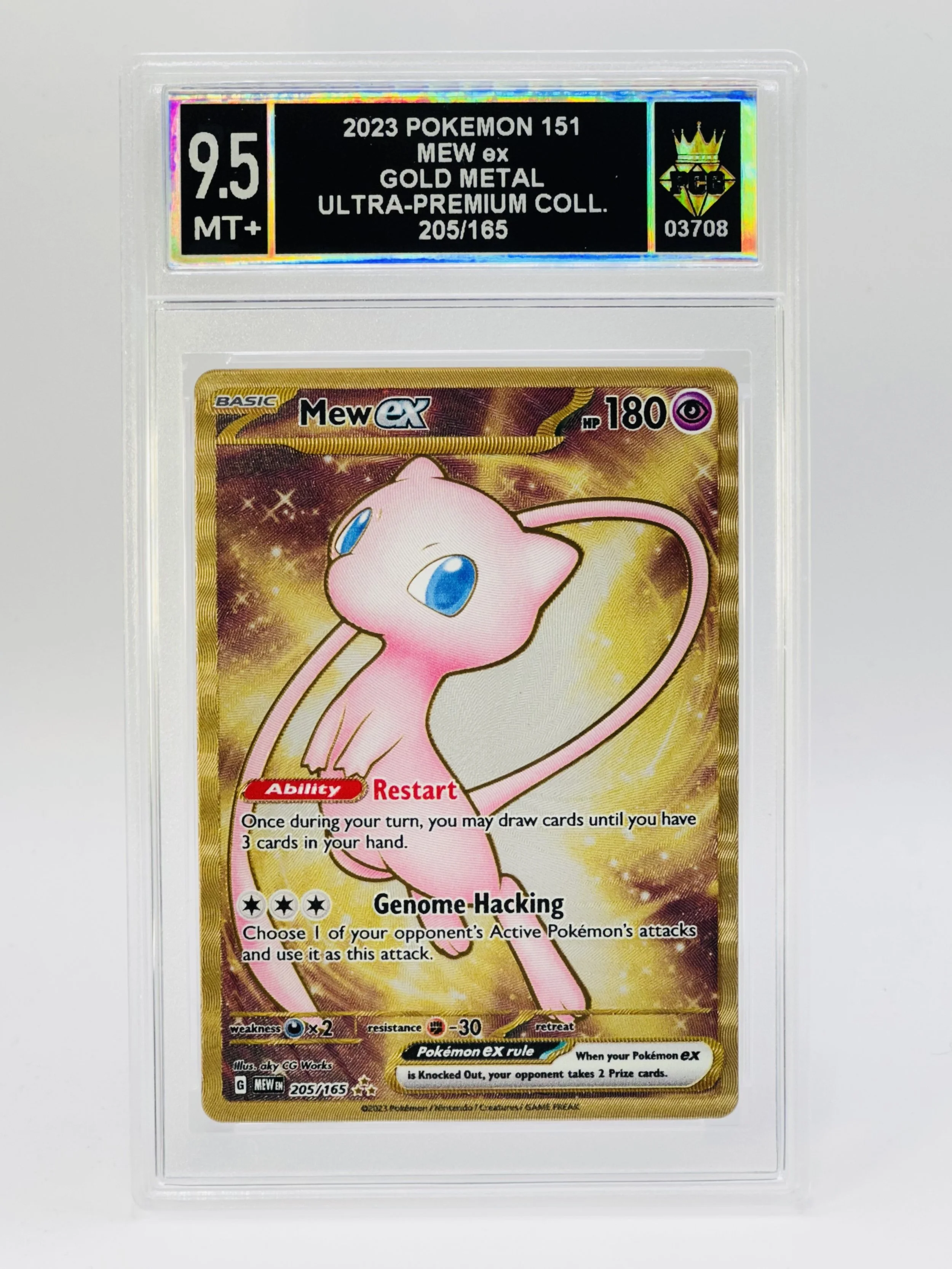#20260003708 2023 MEW EX 9.5 MT+