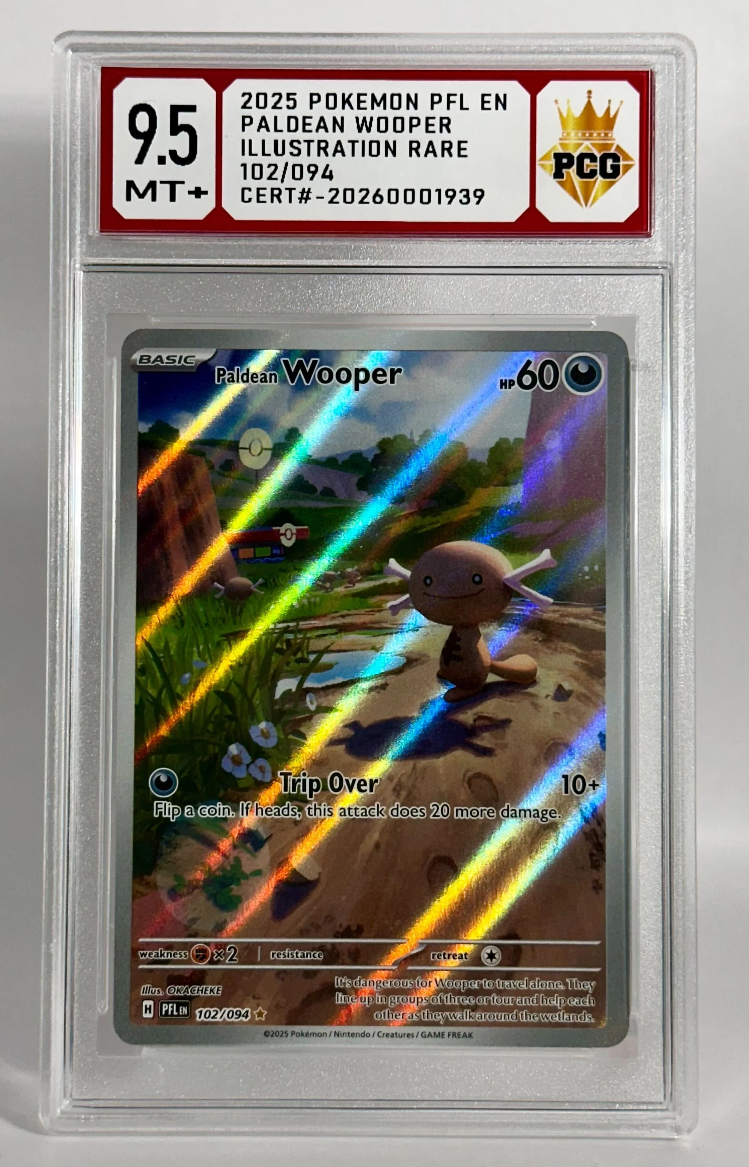 #20260001939 2025 PALDEAN WOOPER 9.5 MT+