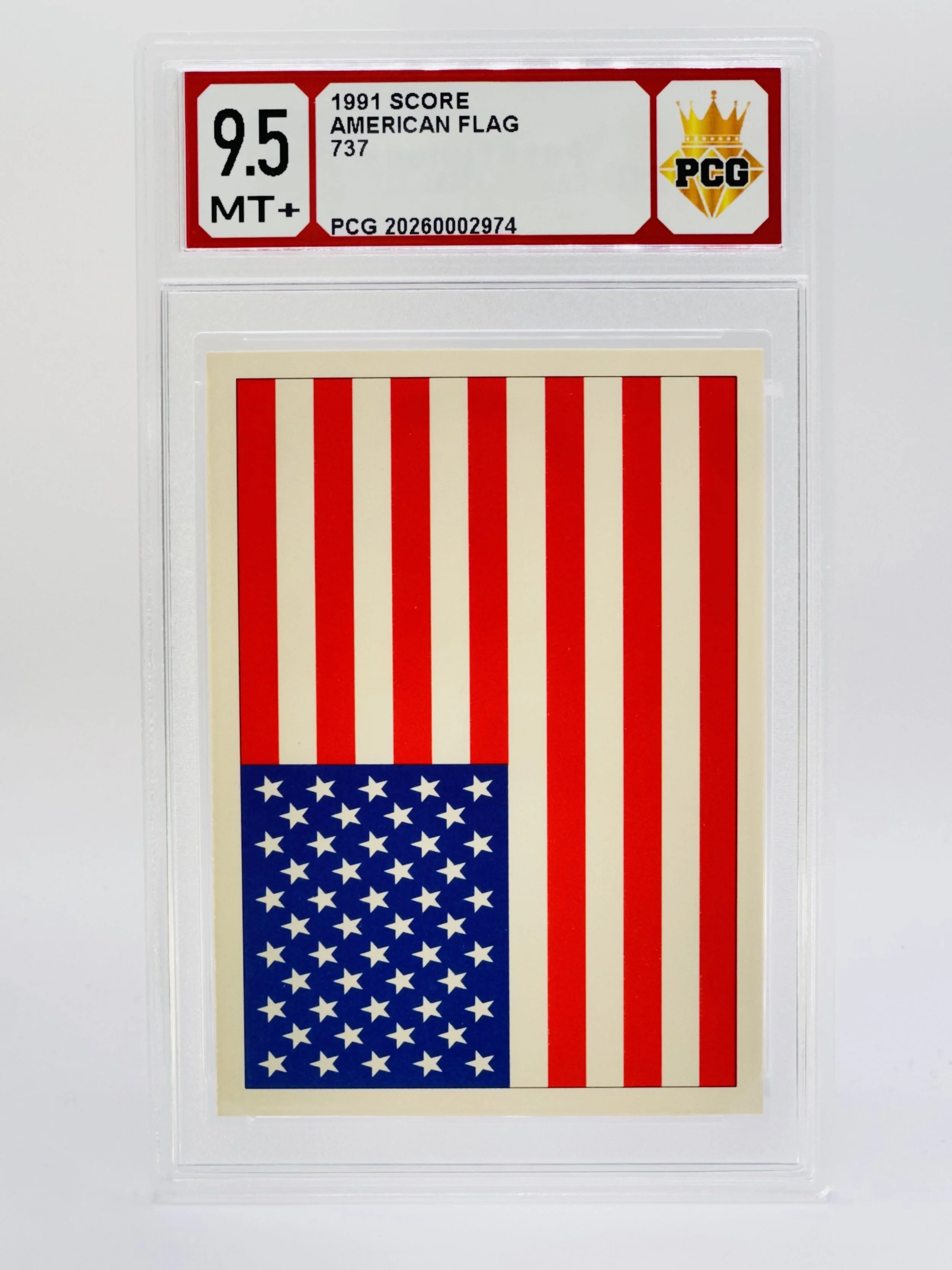 #20260002974 1991 AMERICAN FLAG 9.5 MT+