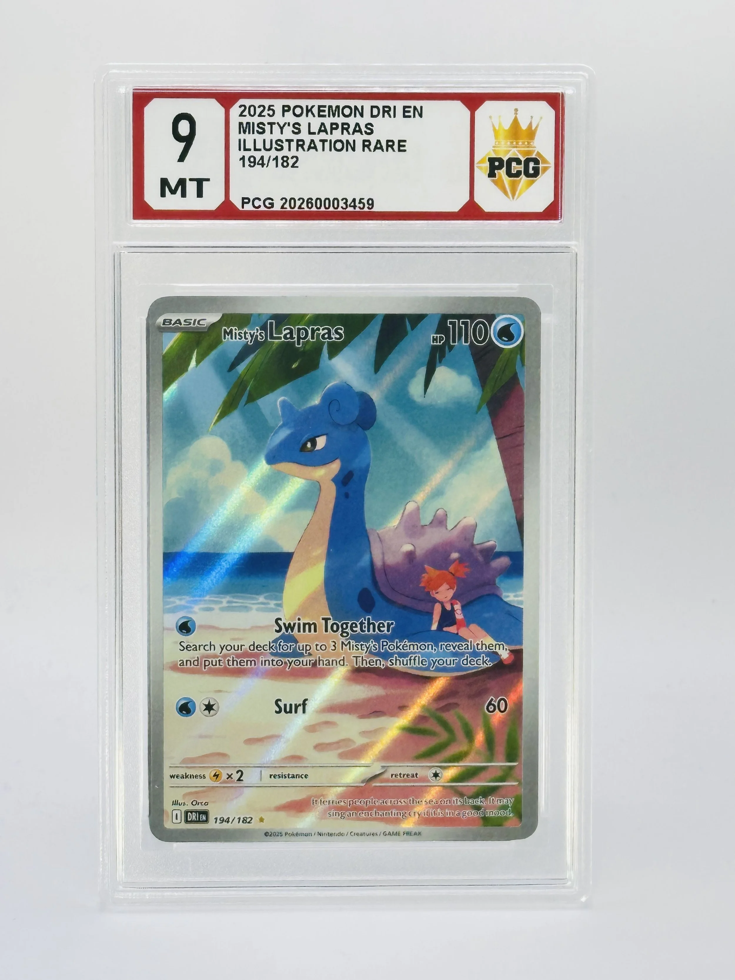 #20260003459 2025 MISTY'S LAPRAS 9 MT