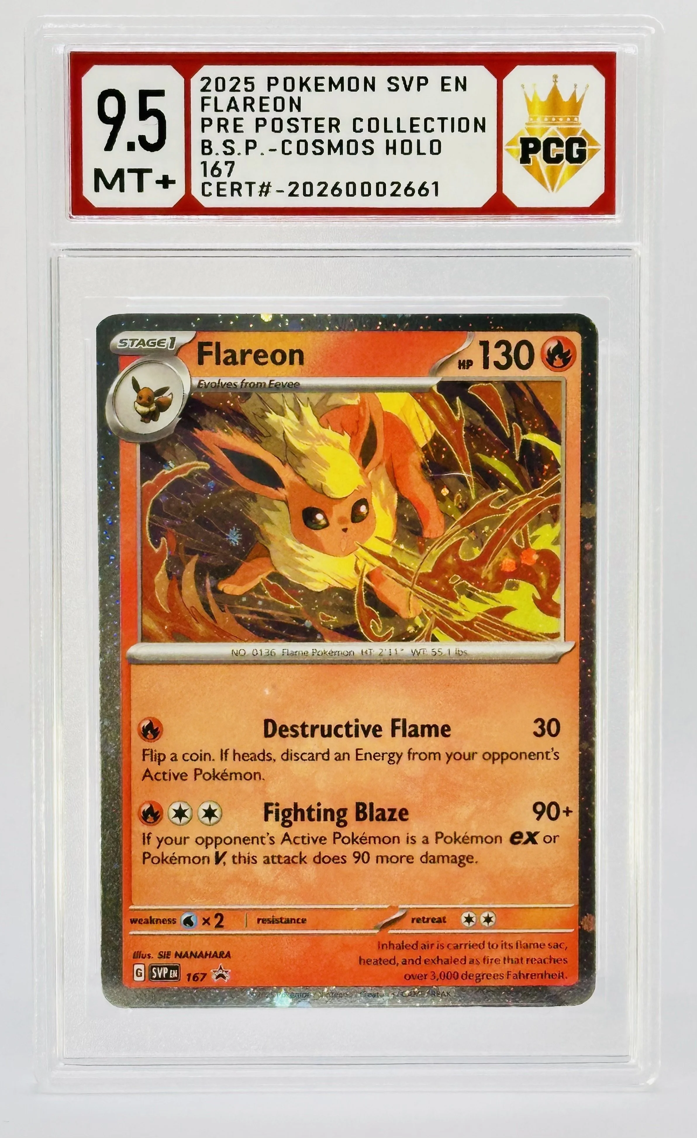 #20260002661 2025 FLAREON 9.5 MT+