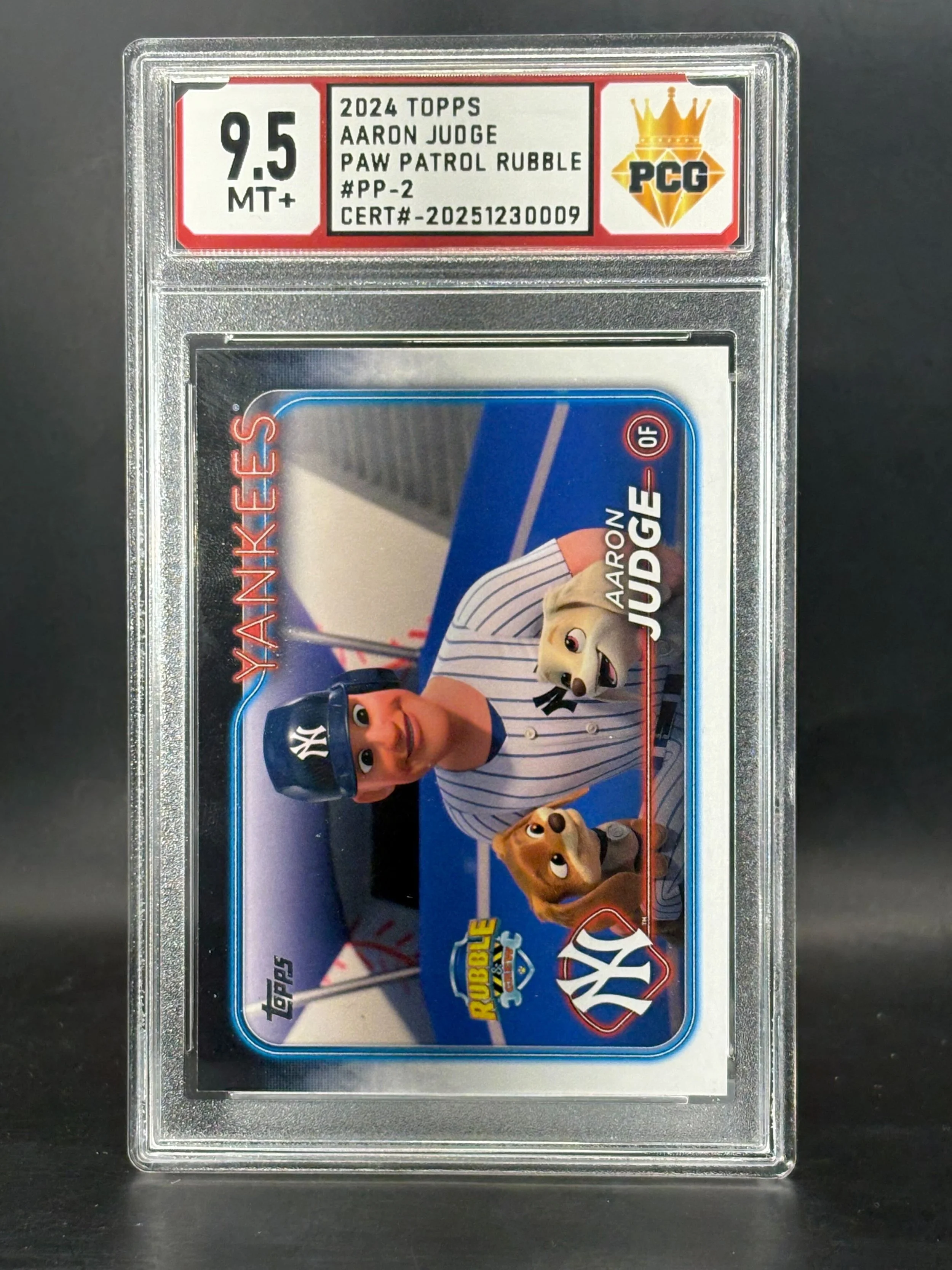 #202512300009 2024 TOPPS AARON JUDGE