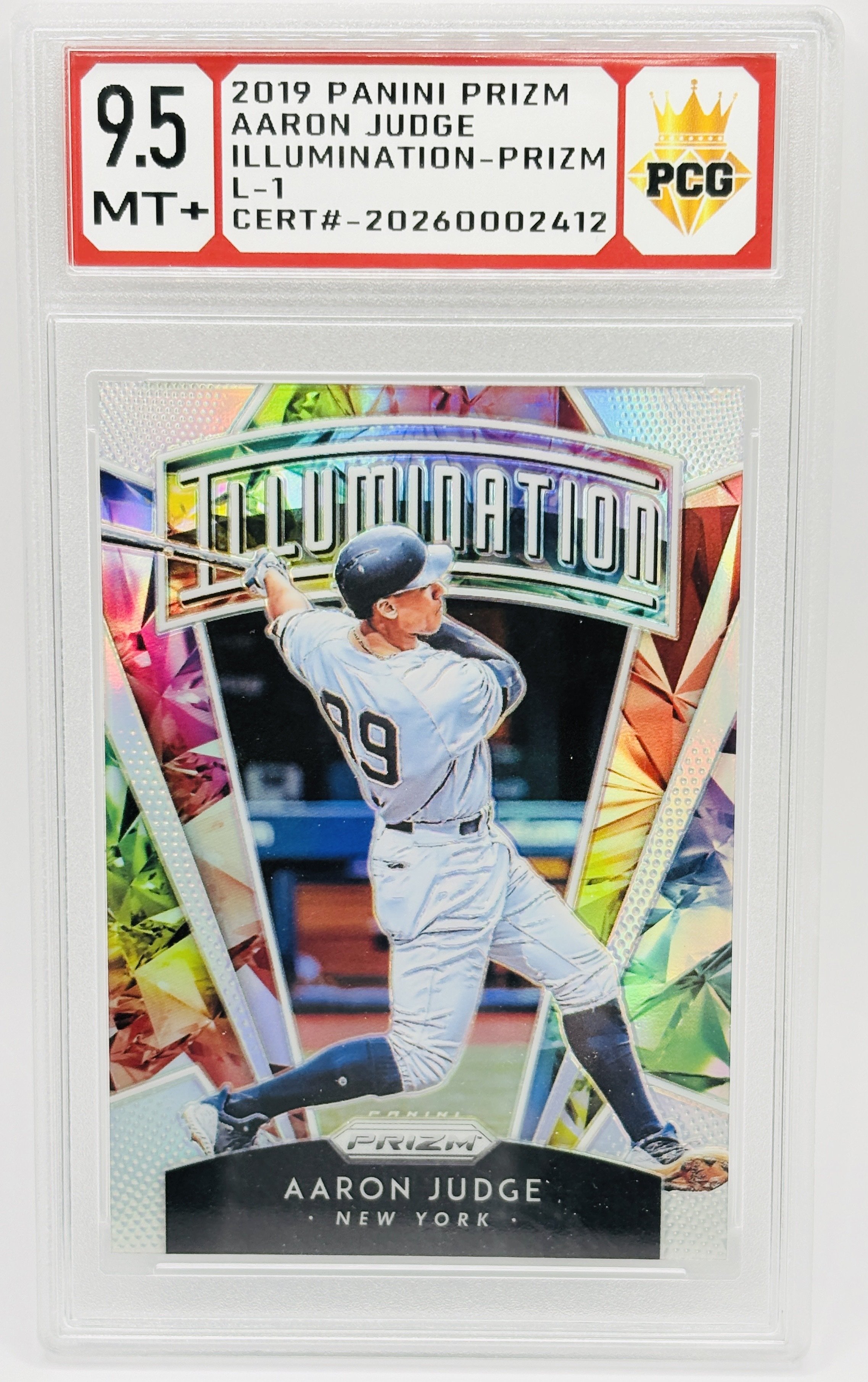 #20260002412 2019 AARON JUDGE 9.5 MT+