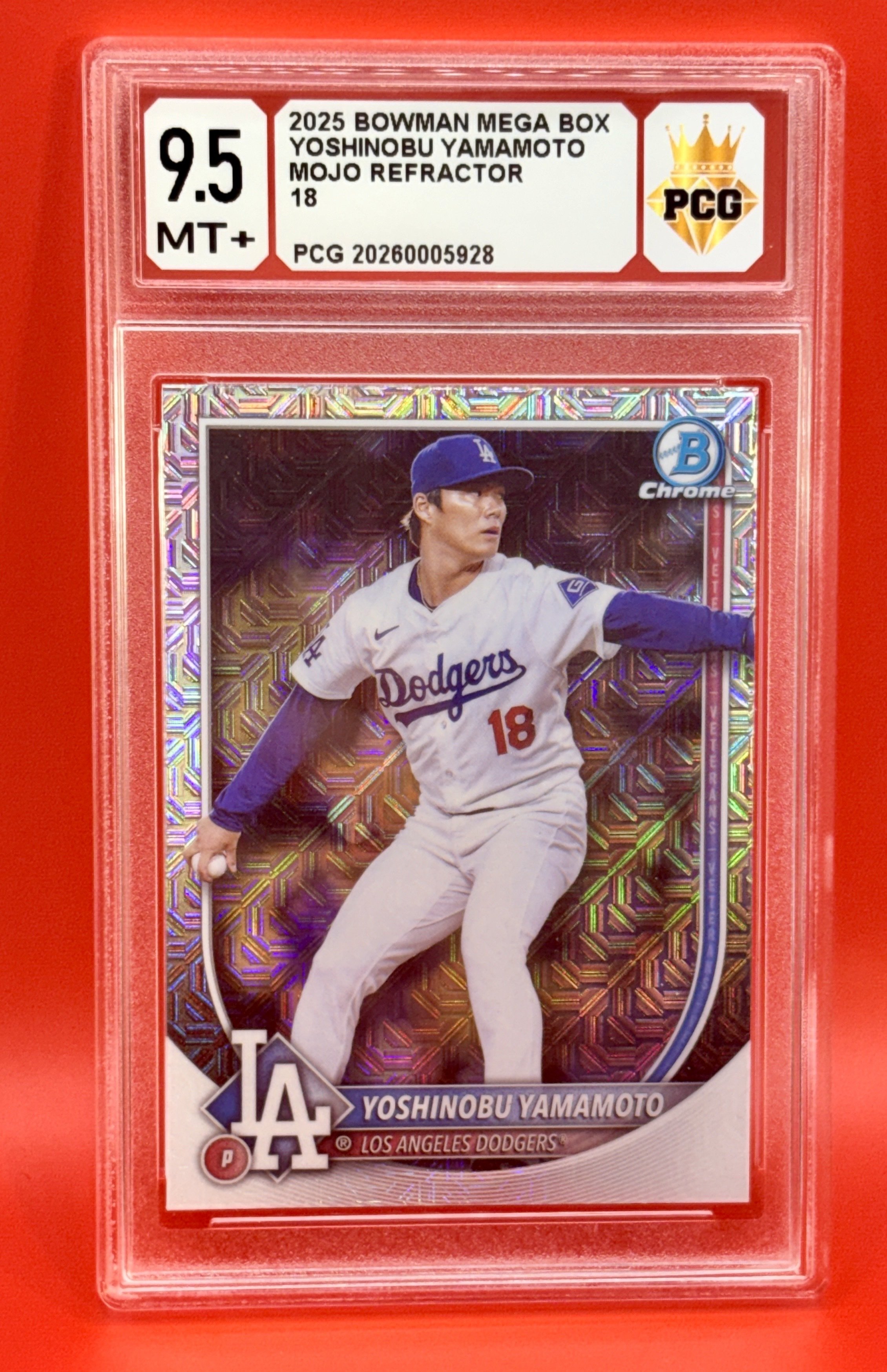 #20260005928 2025 YOSHINOBU YAMAMOTO 9.5 MT+
