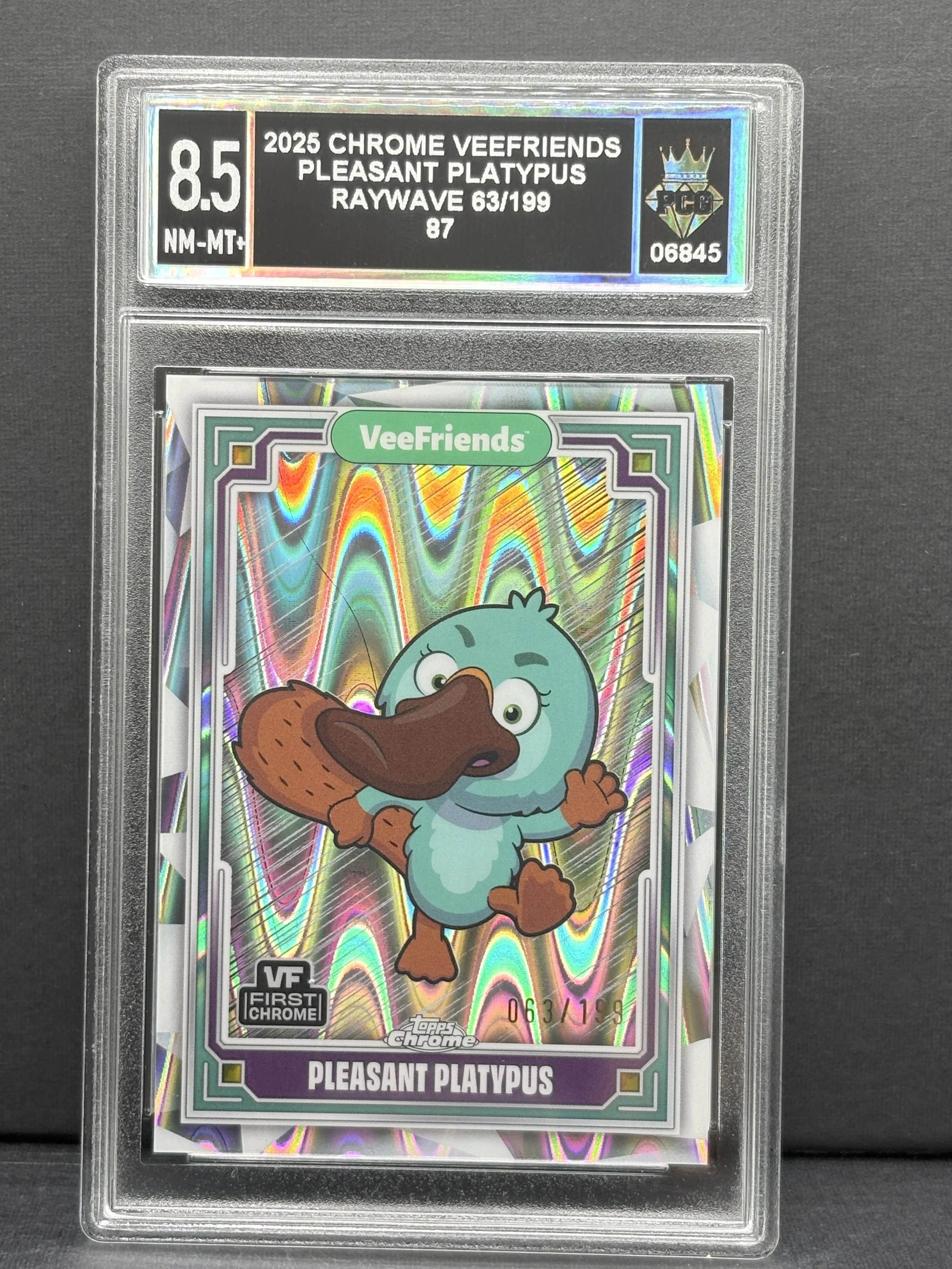 #06845 2025 PLESANT PLATYPUS 8.5 NM-MT+