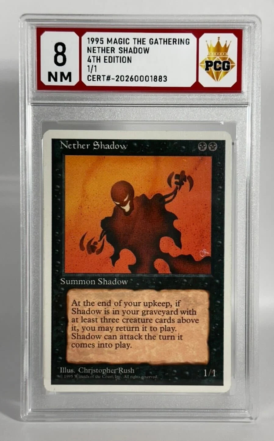 #20260001883 1995 NETHER SHADOW 8 NM