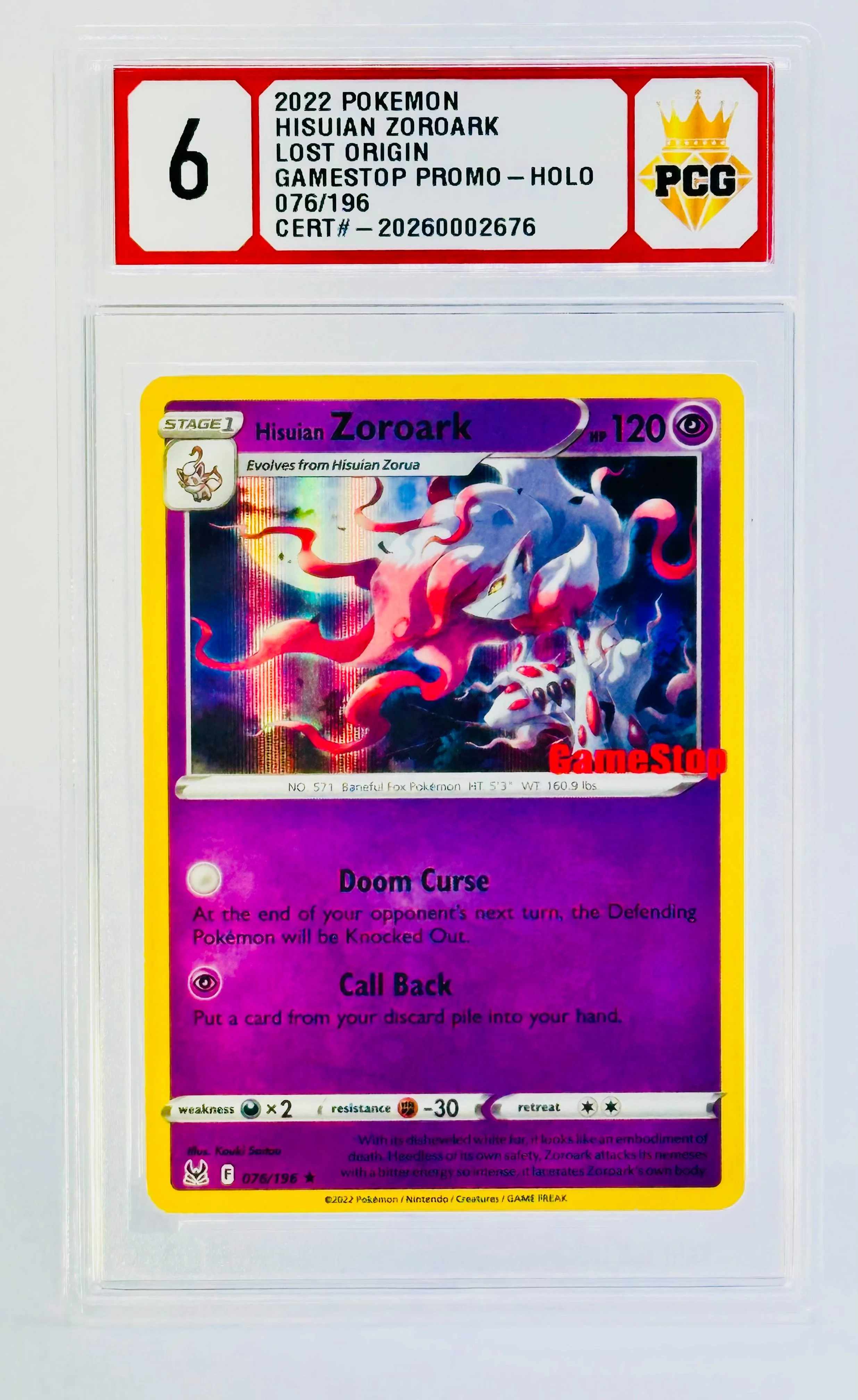 #20260002676 2022 HIUSIN ZOROARK 6