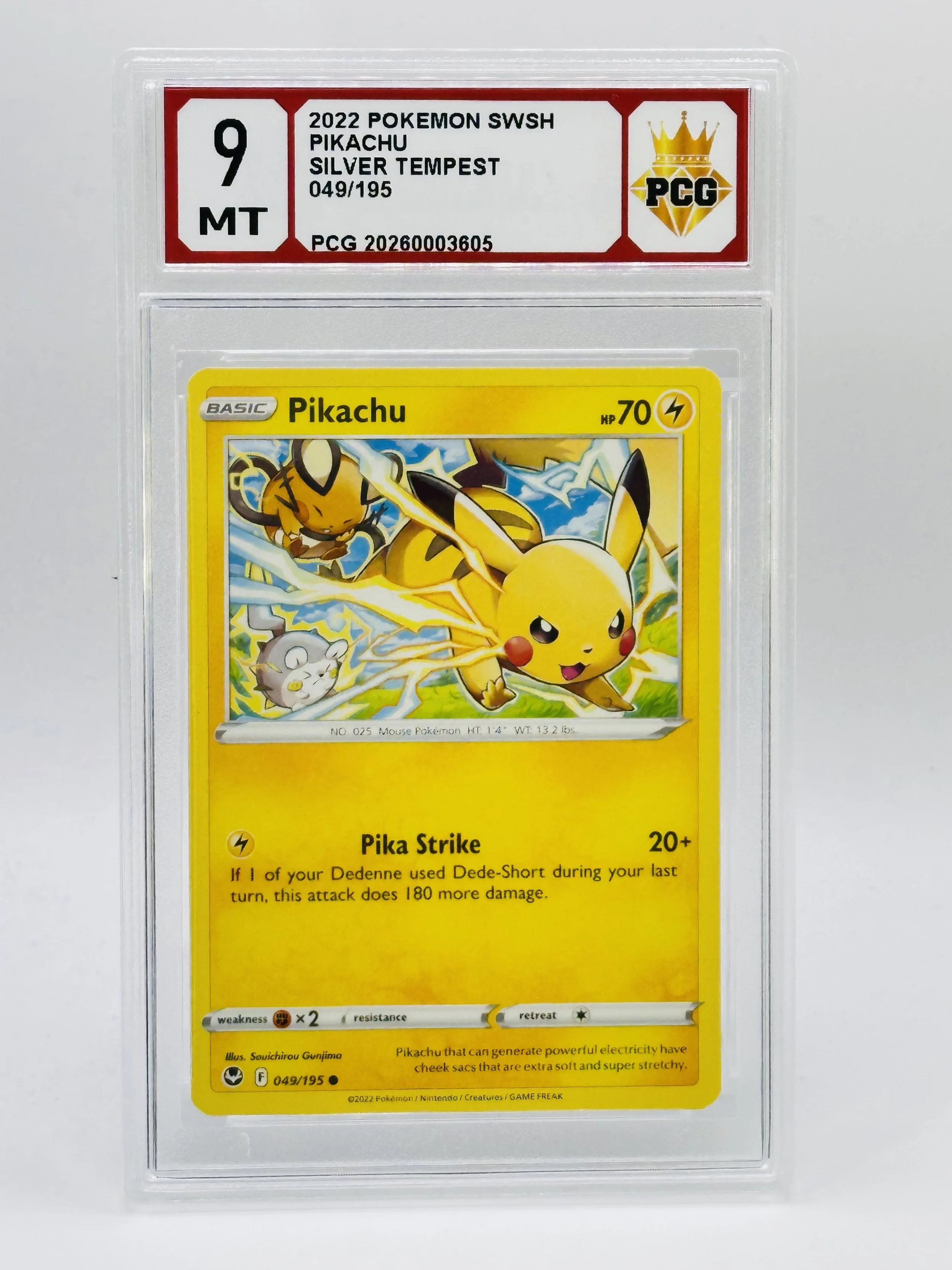 #20260003605 2022 PIKACHU 9 MT