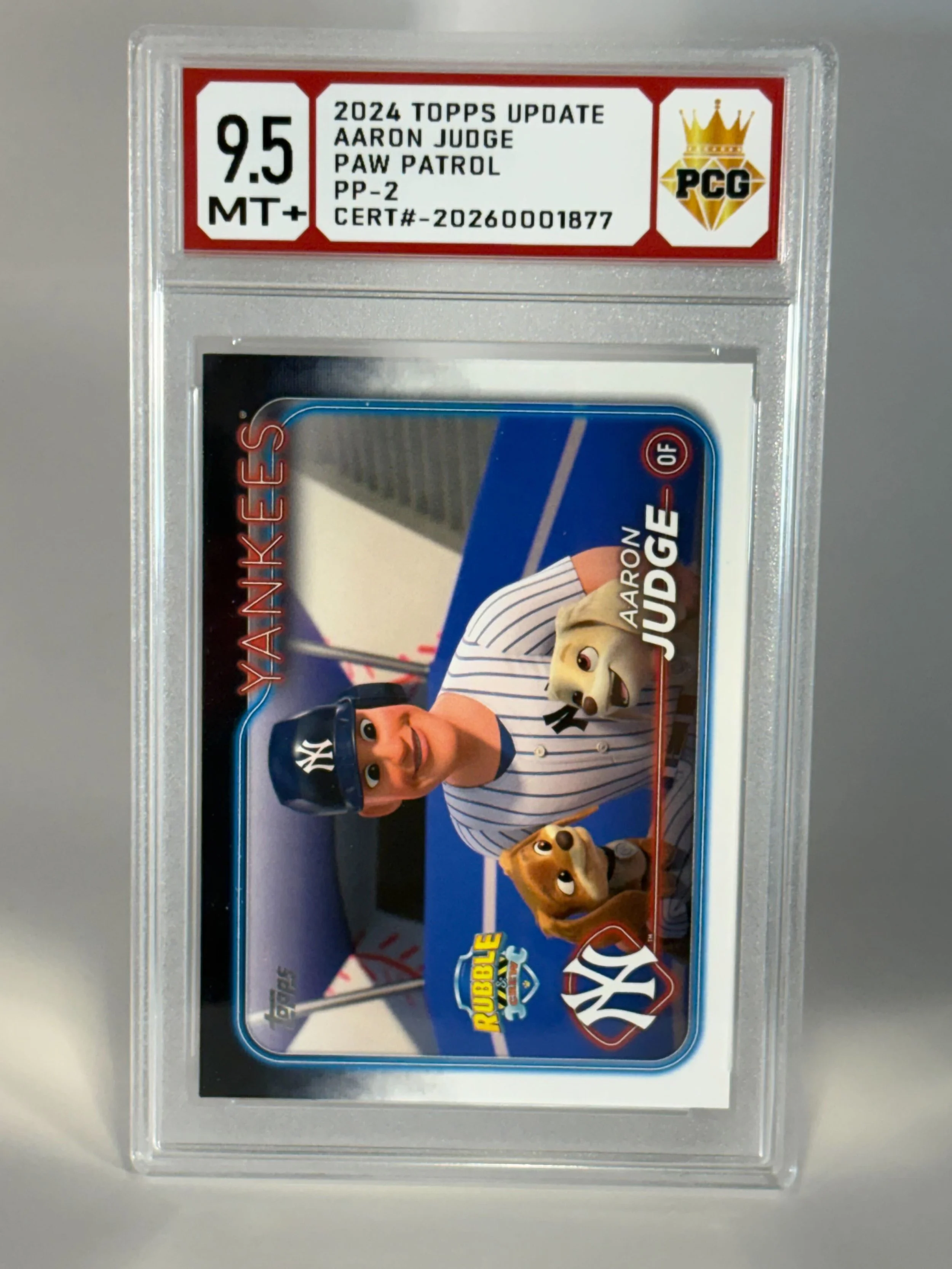 #20270001877 2024 AARON JUDGE 9.5 MT+