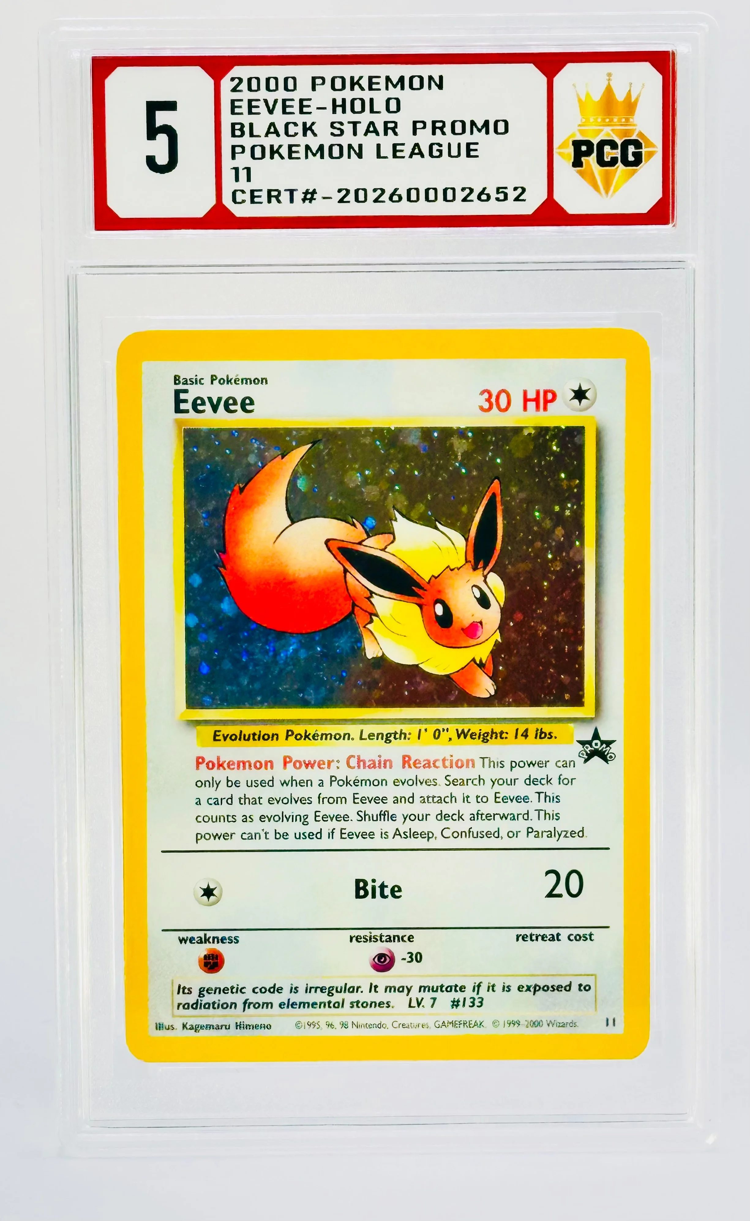 #20260002652 2000 EEVEE-HOLO 5