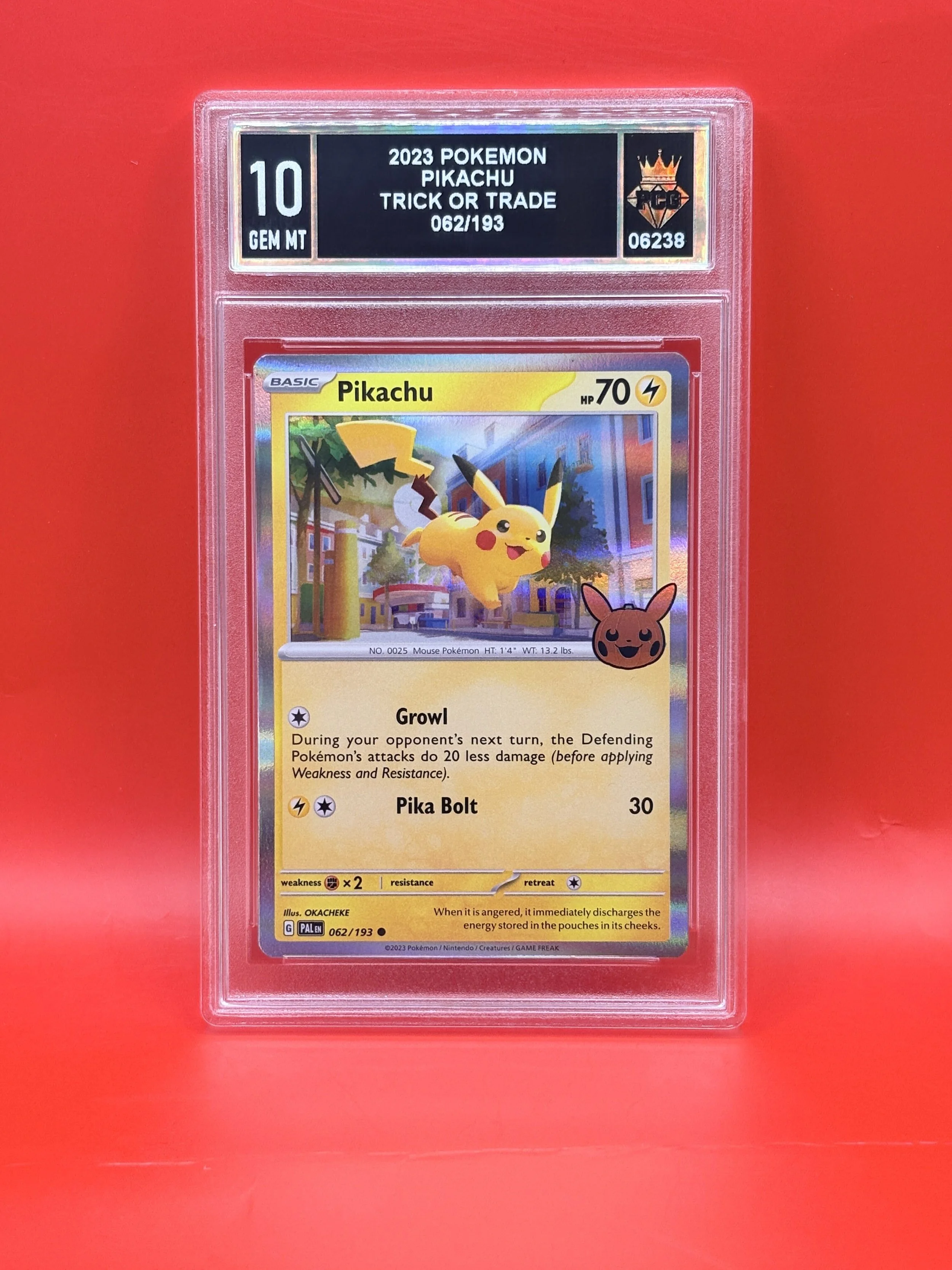 #06238 2023 PIKACHU 10 GEM MT