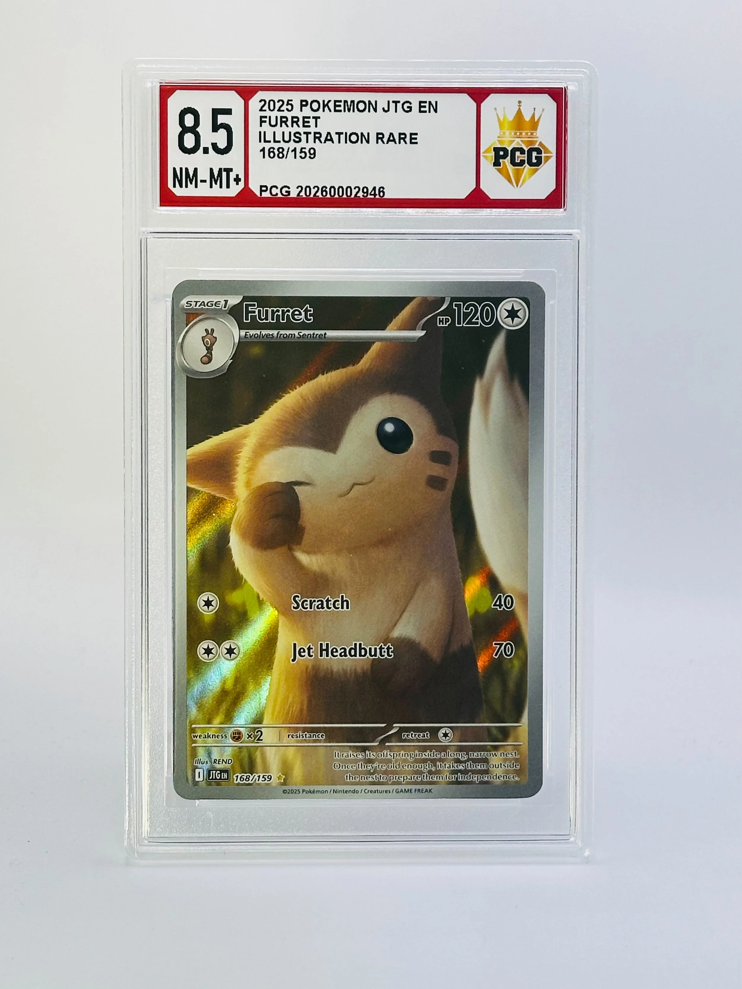#20260002946 2025 FURRET 8.5 NM-MT+