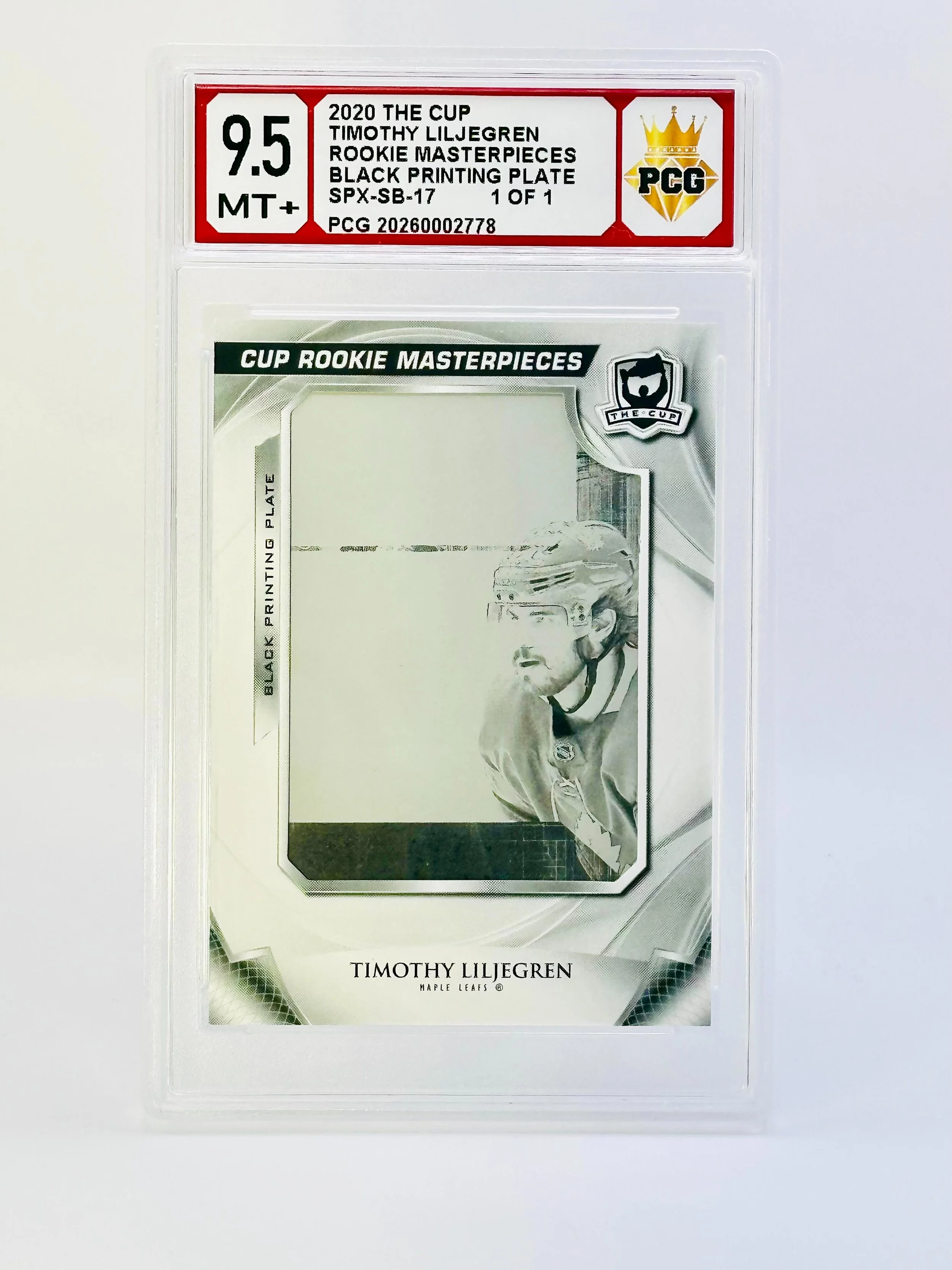 #20260002778 2020 TIMOTHY LILJEGREN 9.5 MT+