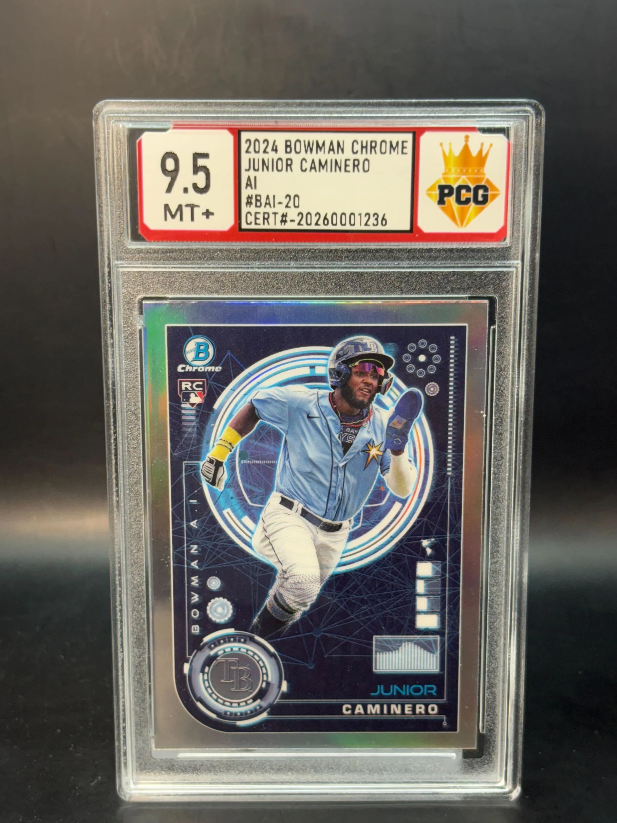 #20260001236 2024 JUNIOR CAMINERO 9.5 MT+