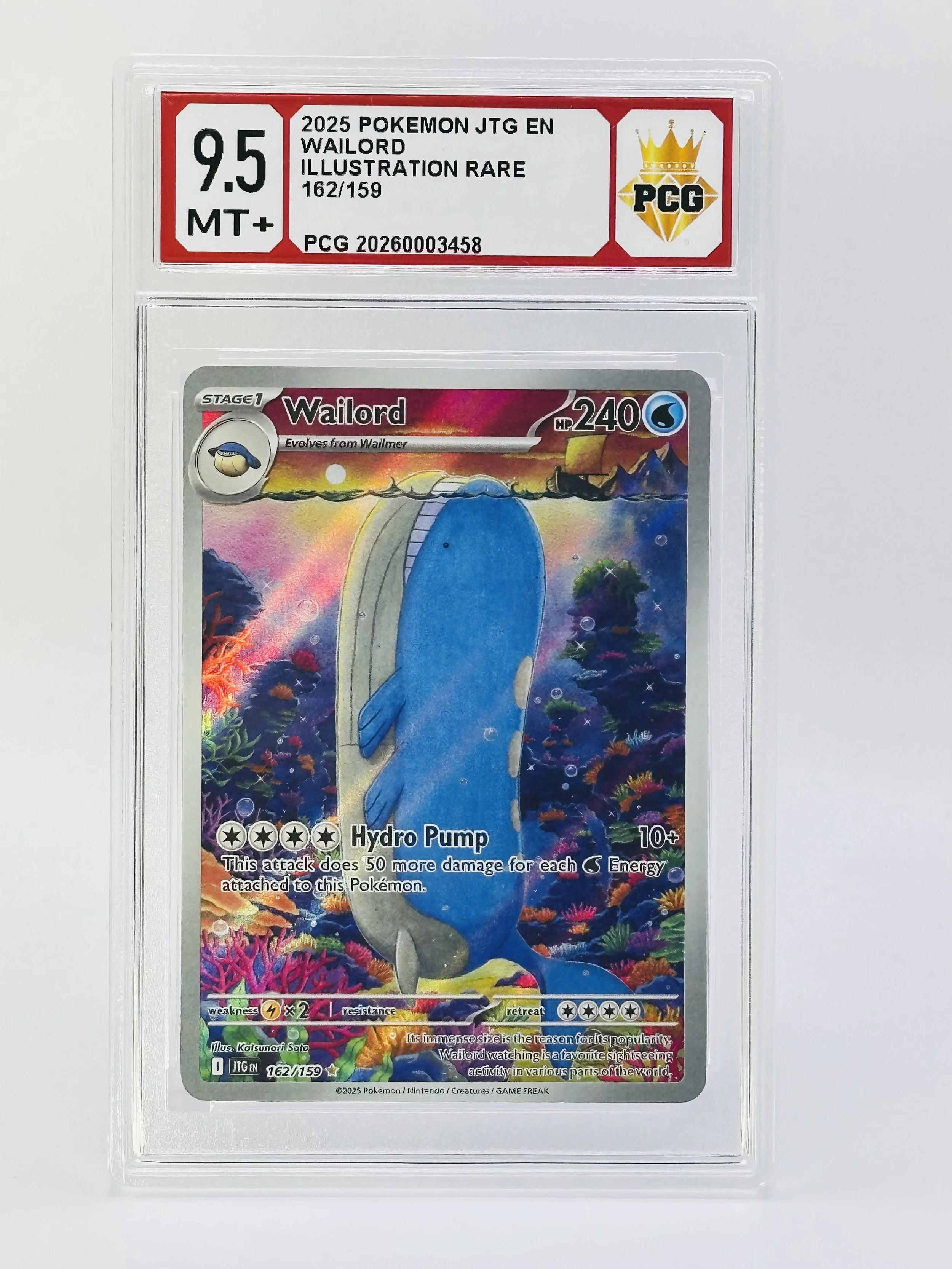 #20260003458 2025 WAILORD 9.5 MT+