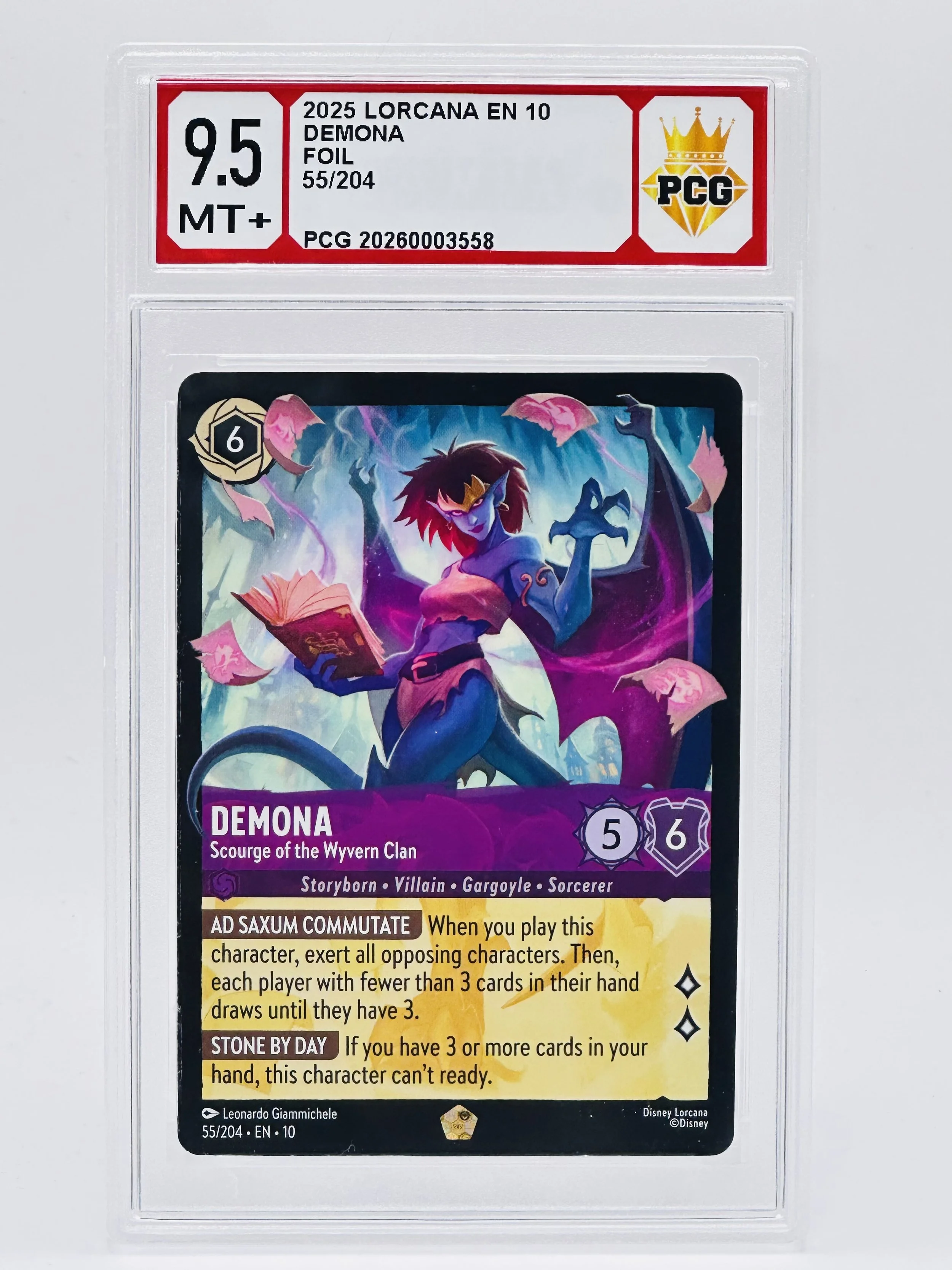 #20260003558 2025 DEMONA 9.5  MT+