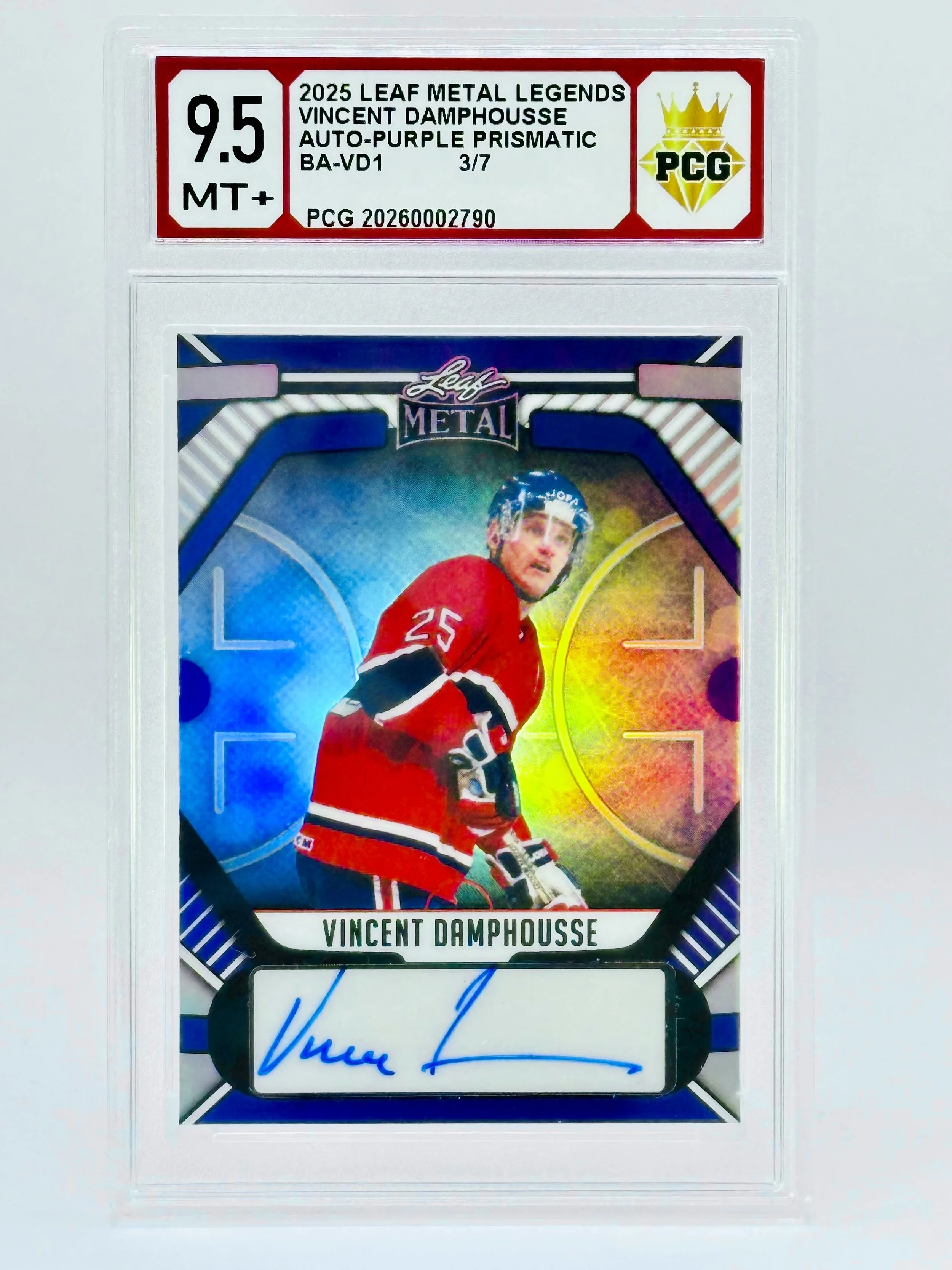 #20260002790 2025 VINCENT DAMPHOUSSE 9.5 MT+