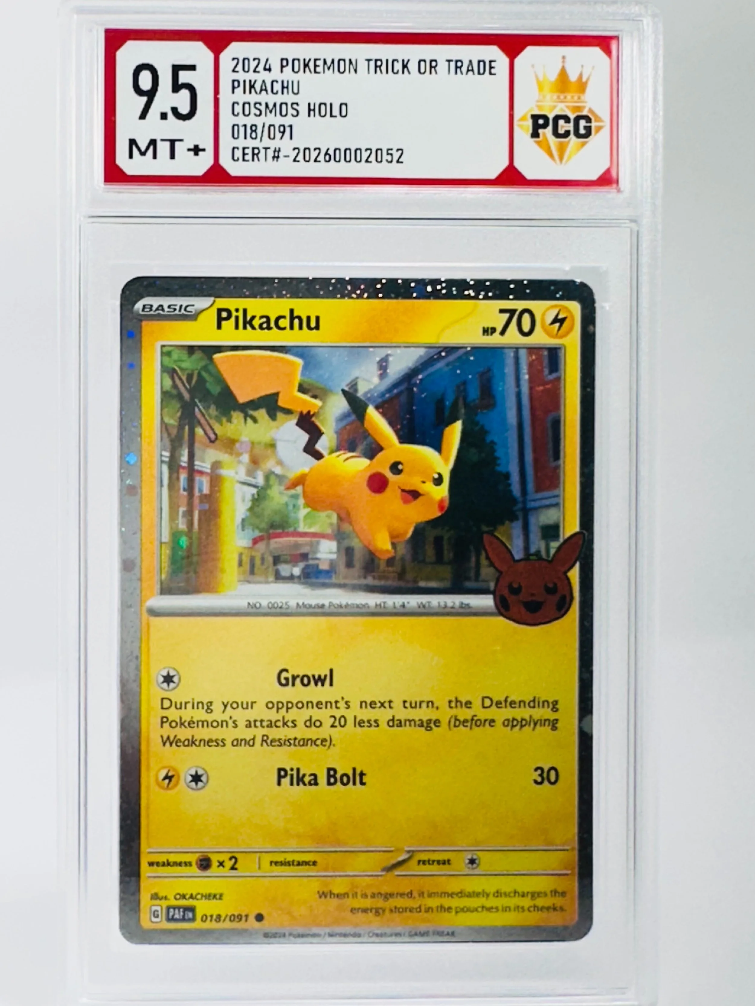 #20260002052 2024 PIKACHU 9.5 MT+