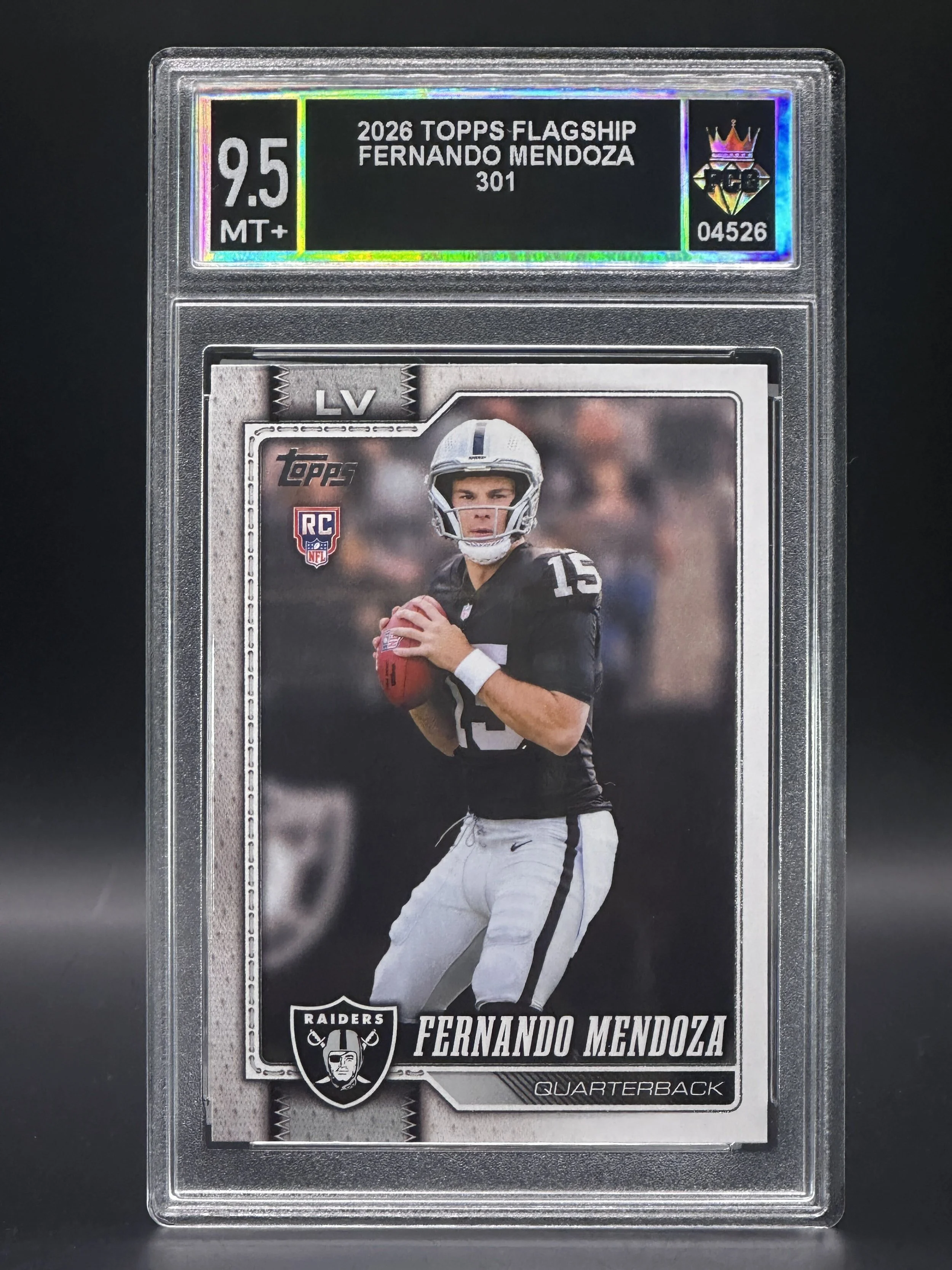 #04526 2206 FERNANDO MENDOZA 9.5 MT+