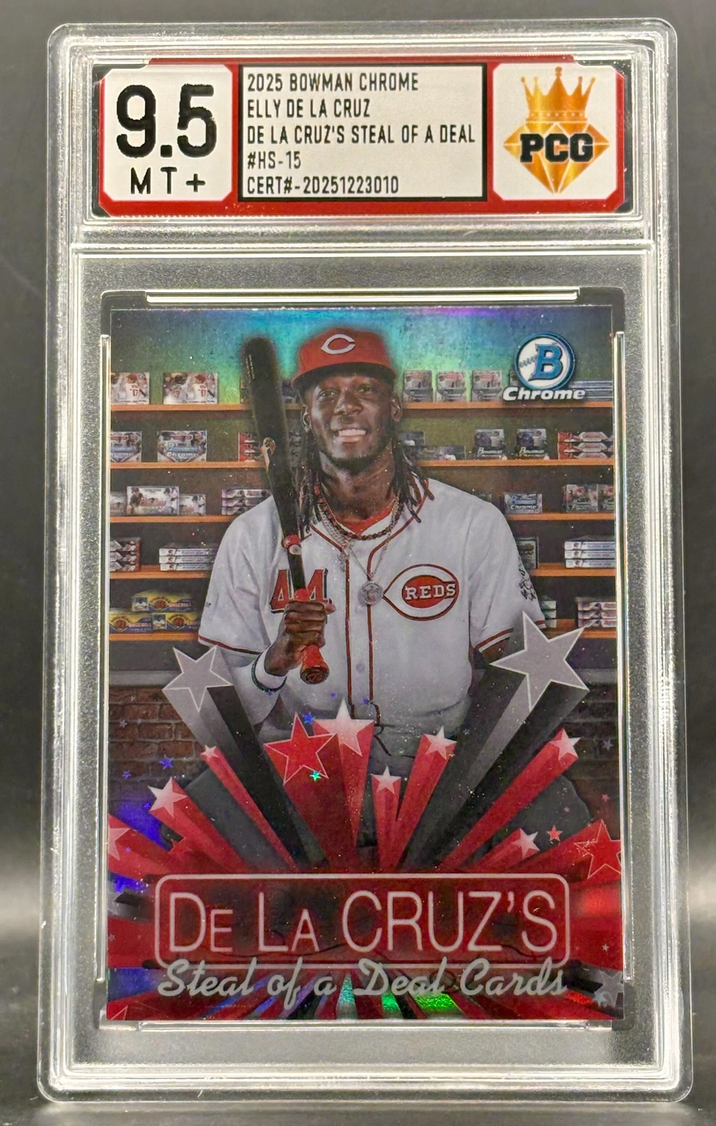 #20251223010 2025 ELLY DE LA CRUZ 9.5 MT+