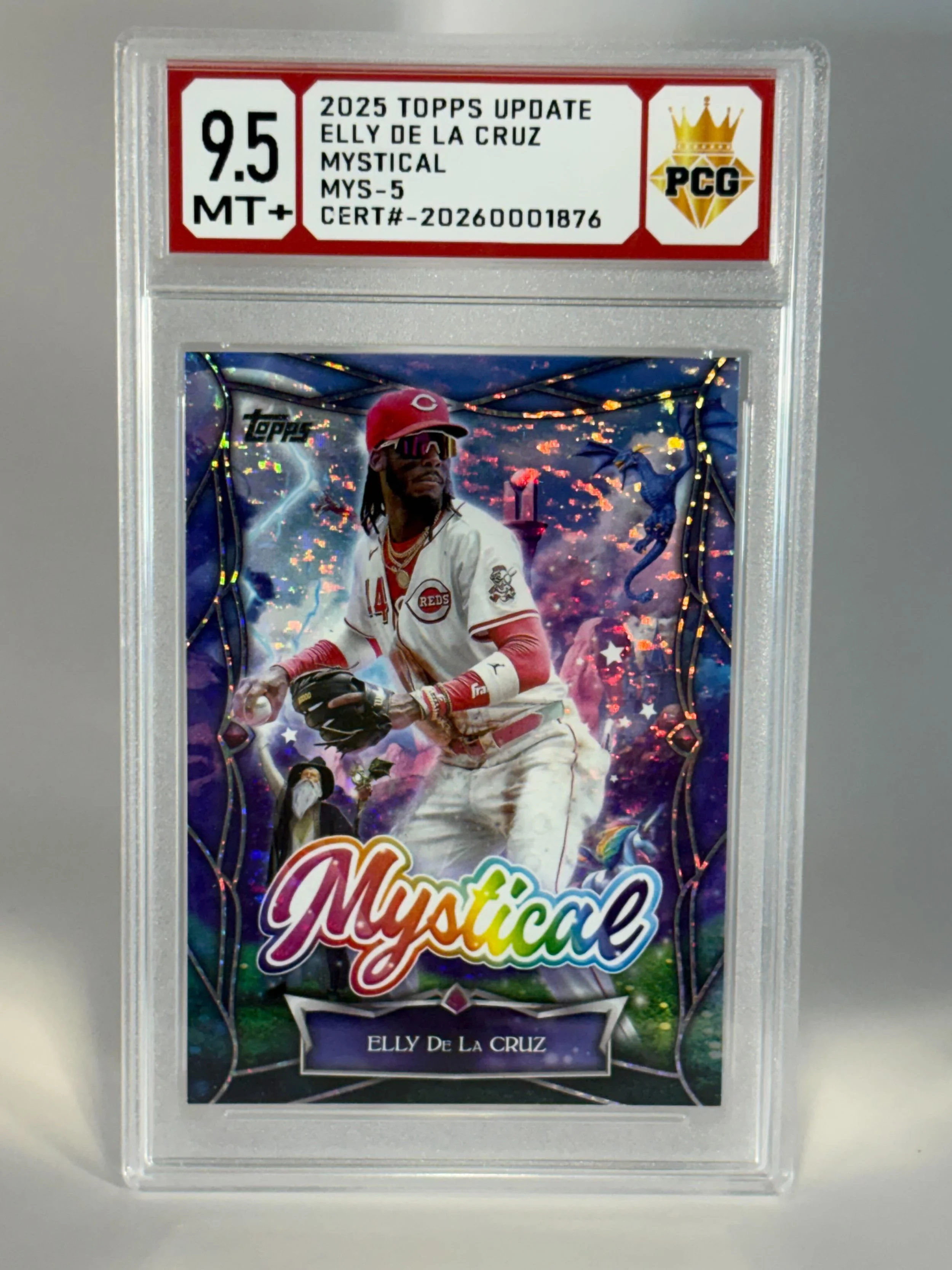 #20270001876 2025 ELLY DE LA CRUZ 9.5 MT+