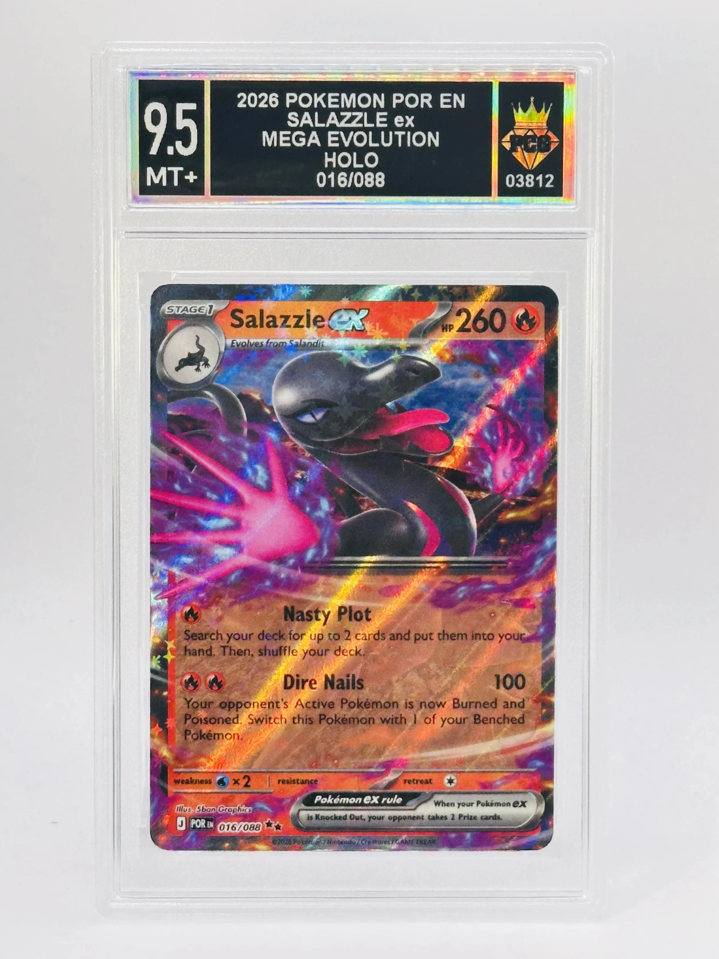 #20260003812 2026 SALAZZLE EX 9.5 MT+