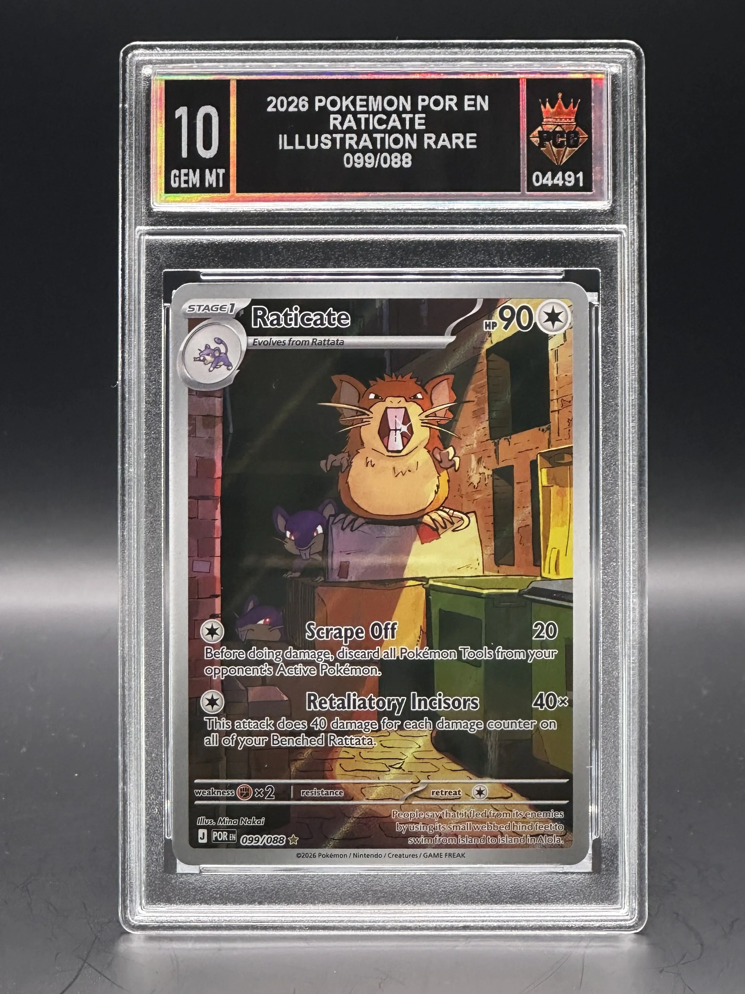 #04491 2026 RATICATE 10 GEM MT