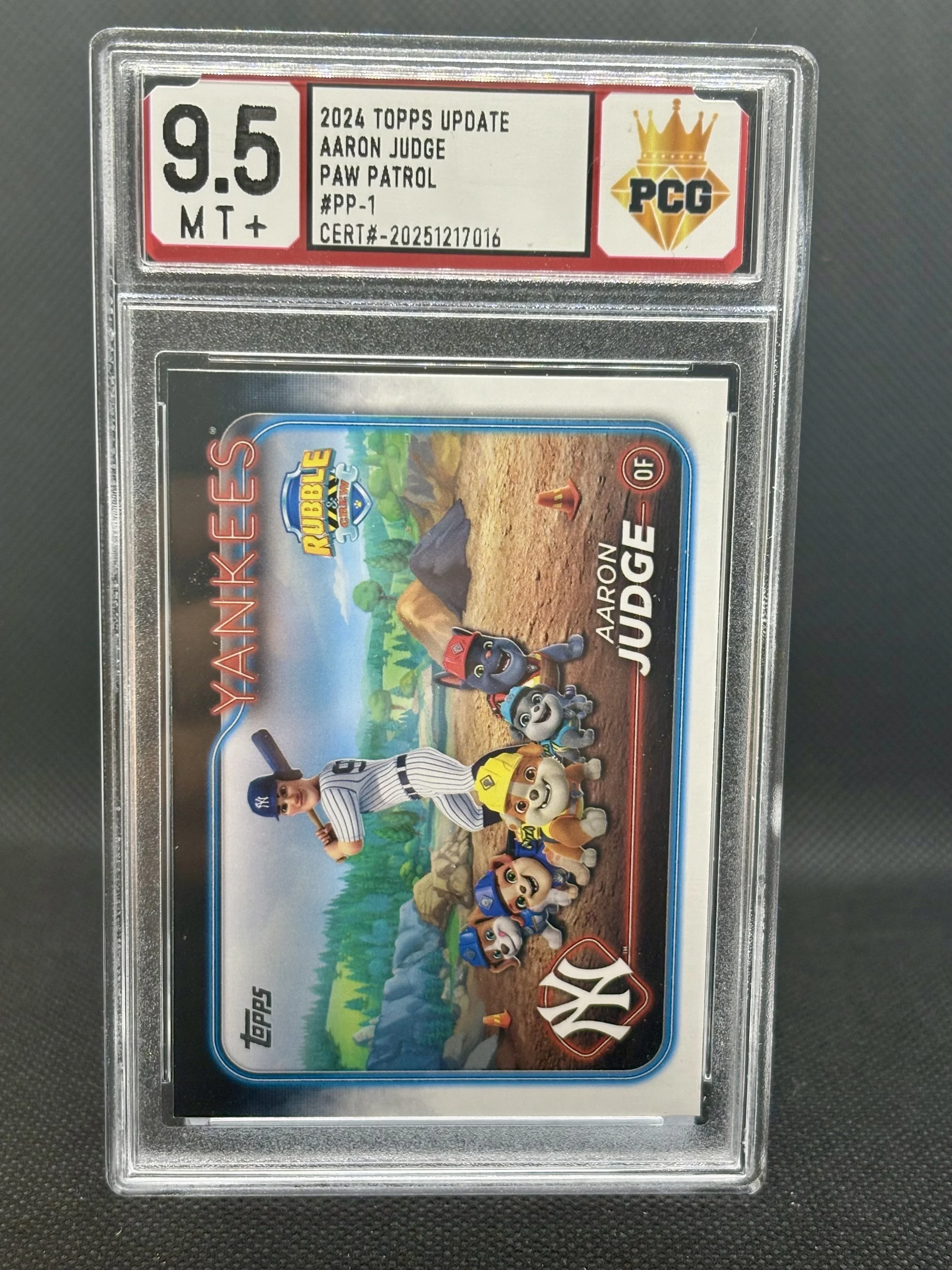 #20251217016 AARON JUDGE 9.5 MT+