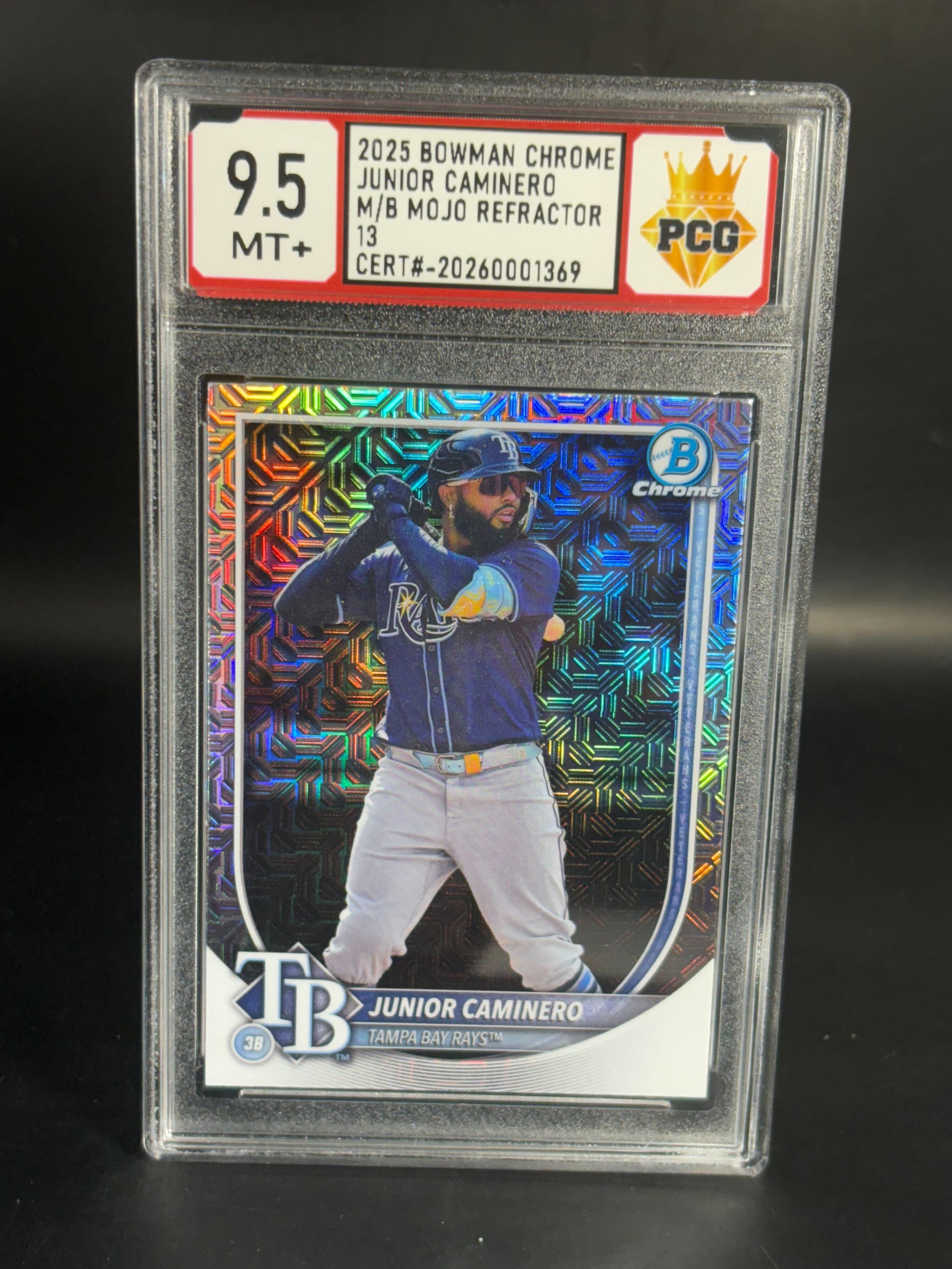 #20250001369 2025 JUNIOR CAMINERO 9.5 MT+