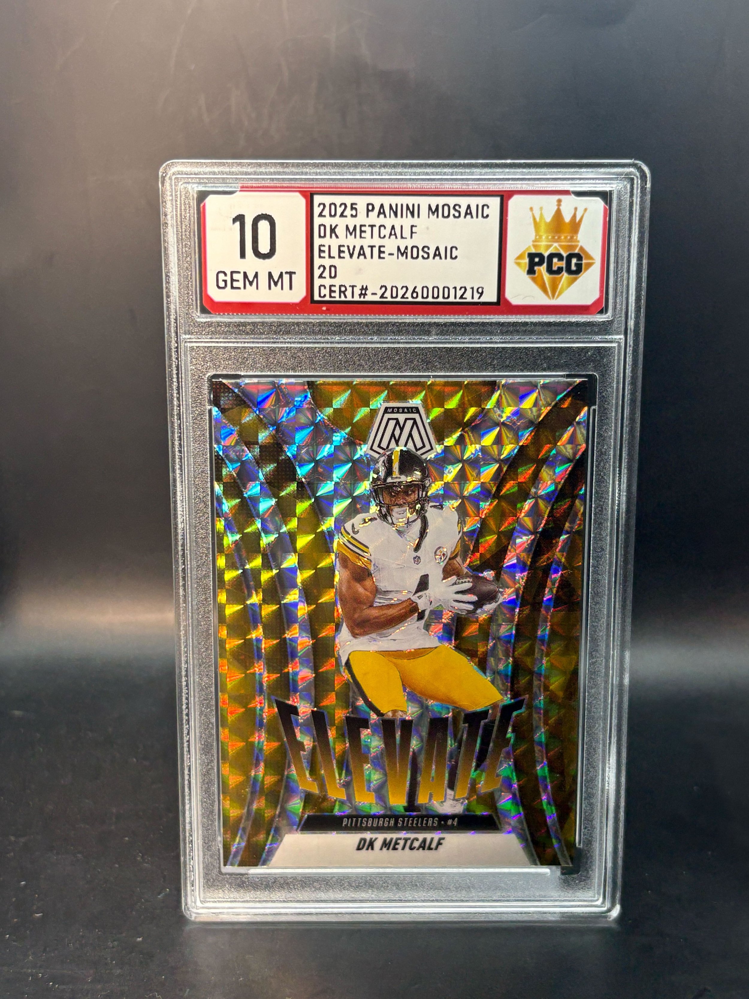 #20260001219 2025 DK METCLAF 10 GEM MT