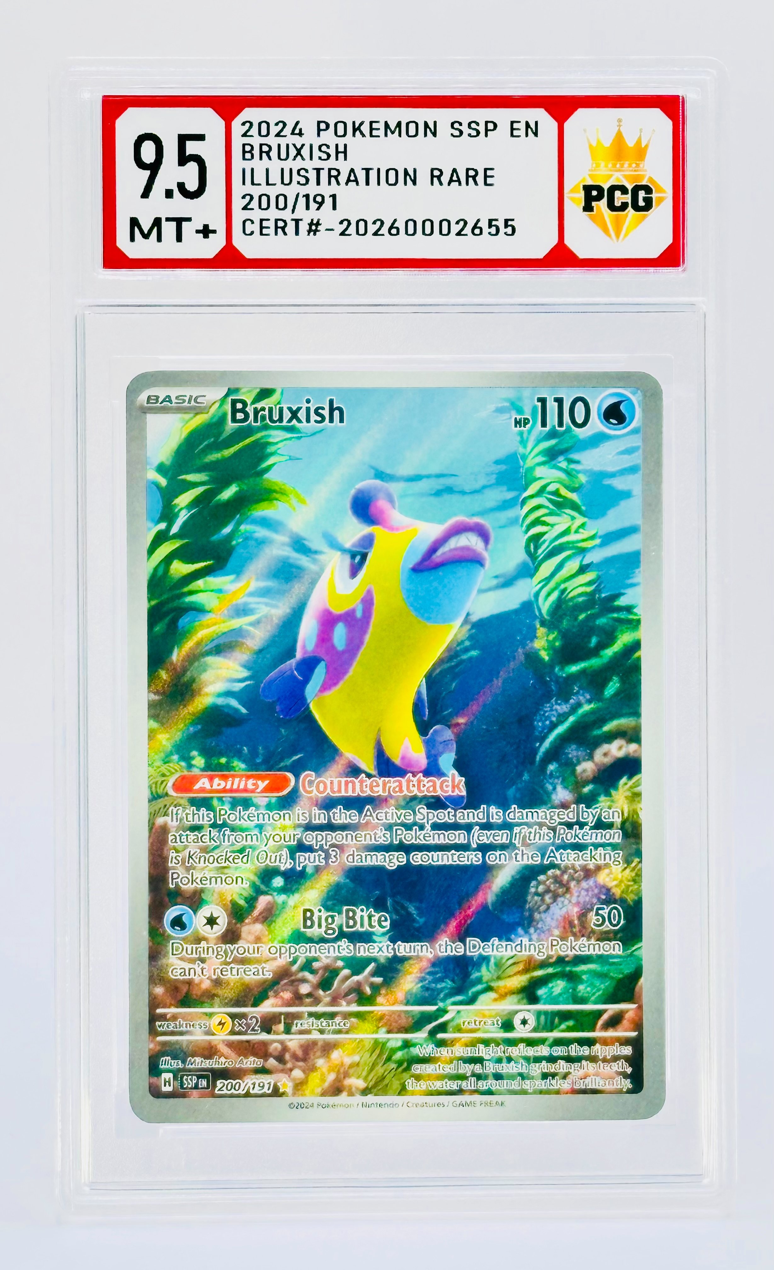 #20260002655 2024 BRUXISH 9.5 MT+