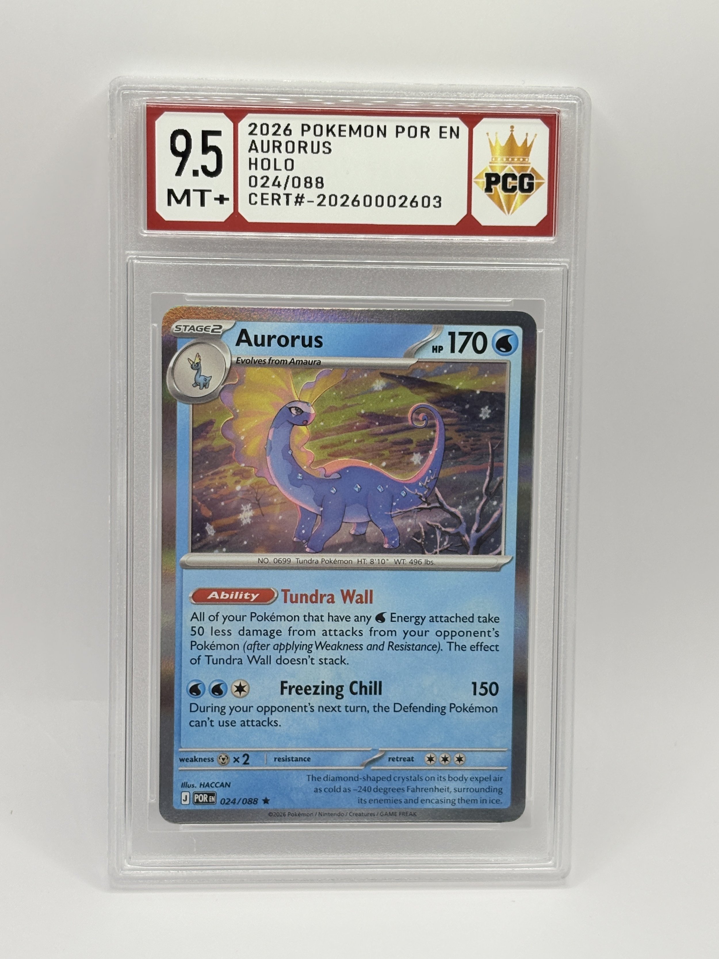#20260002603 2026 AURORUS 9.5 MT+
