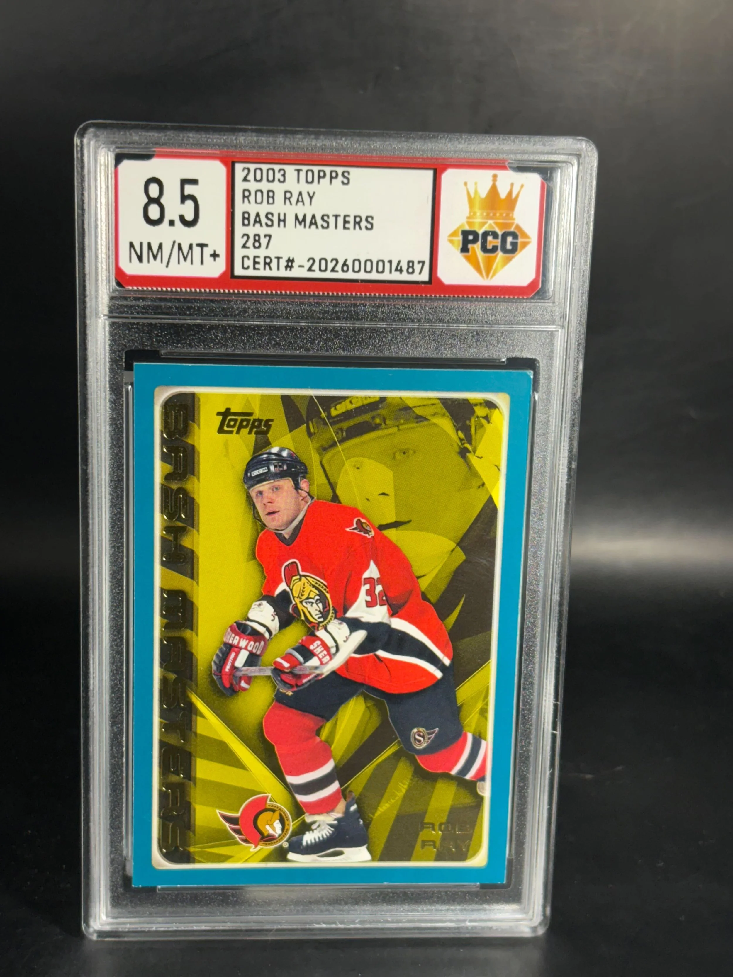 #20260001487 2003 ROB RAY 8.5 NM/MT+