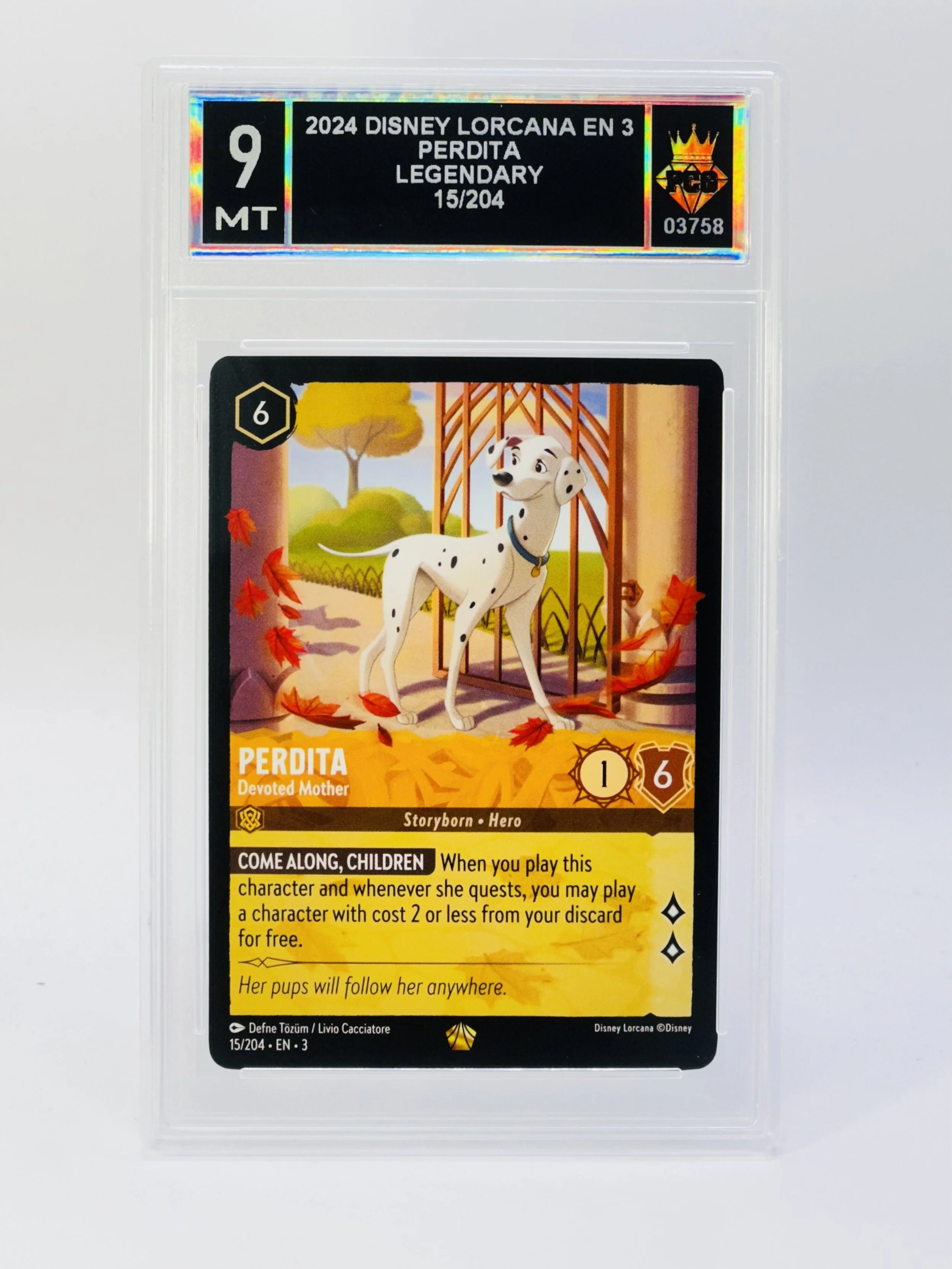 #20260003758 2024 PERDITA 9 MT