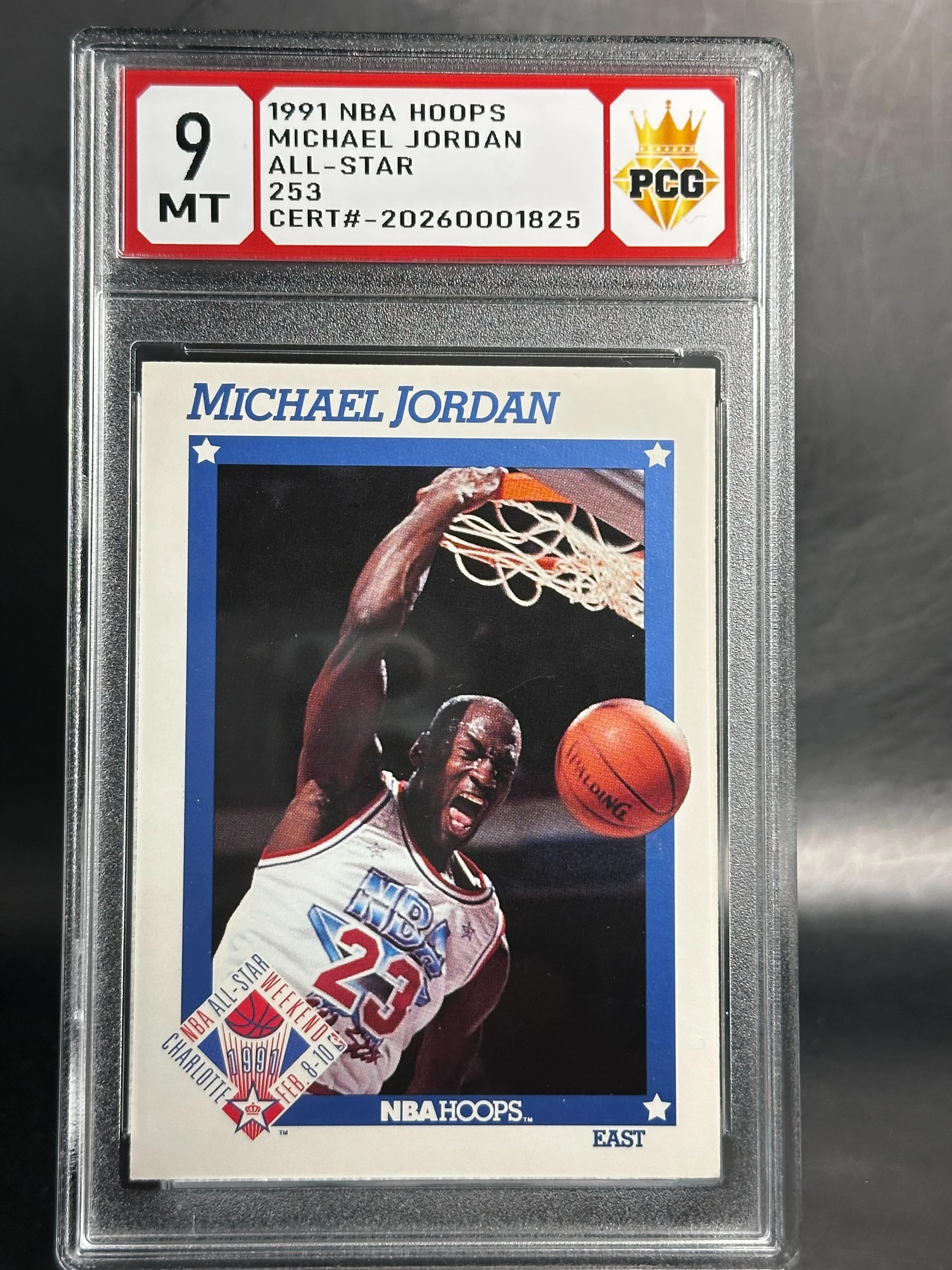 #20270001825 1991 MICHAEL JORDAN 9 MT