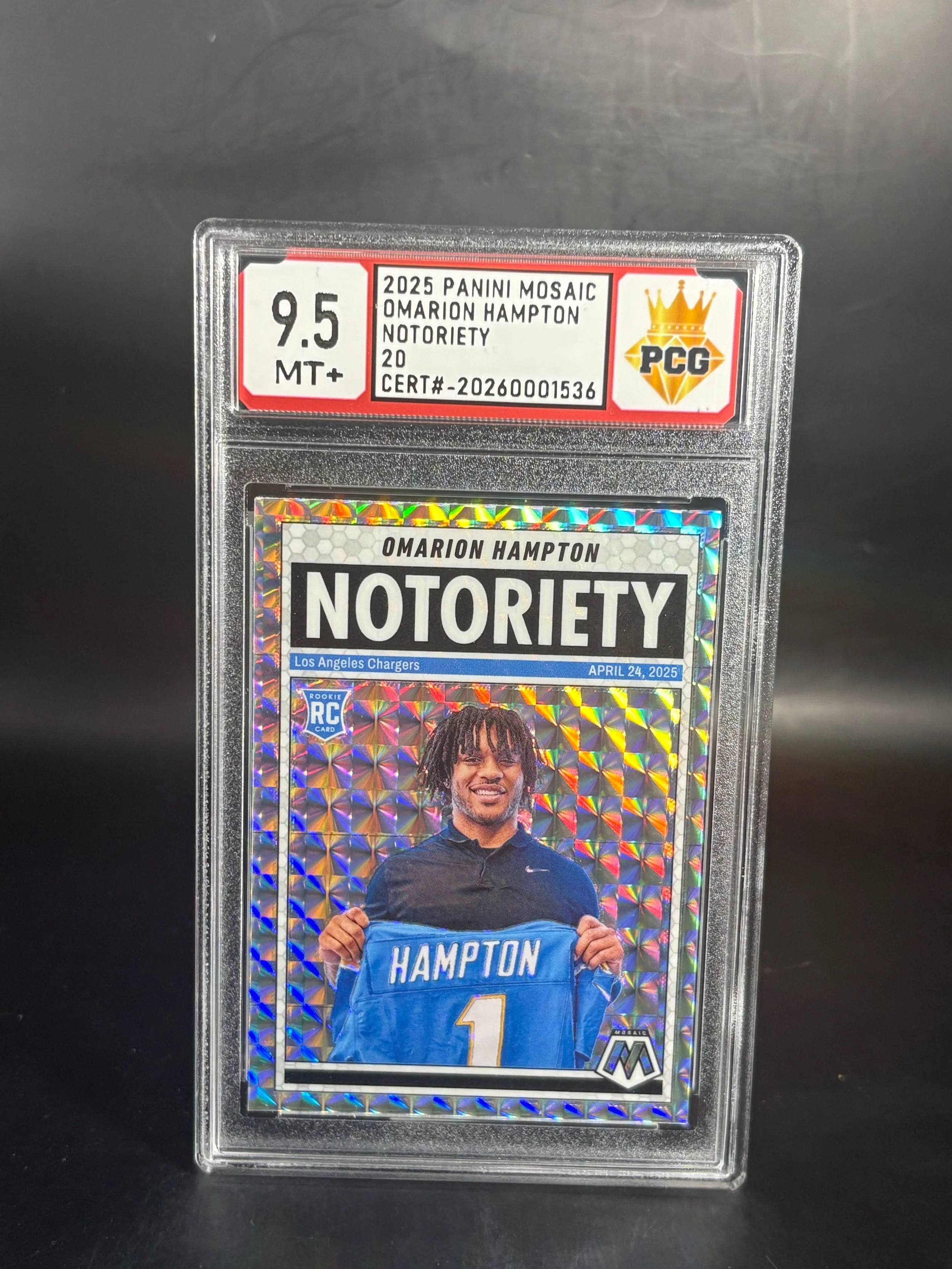 #20260001536 2025 OMARION HAMPTON 9.5 MT+