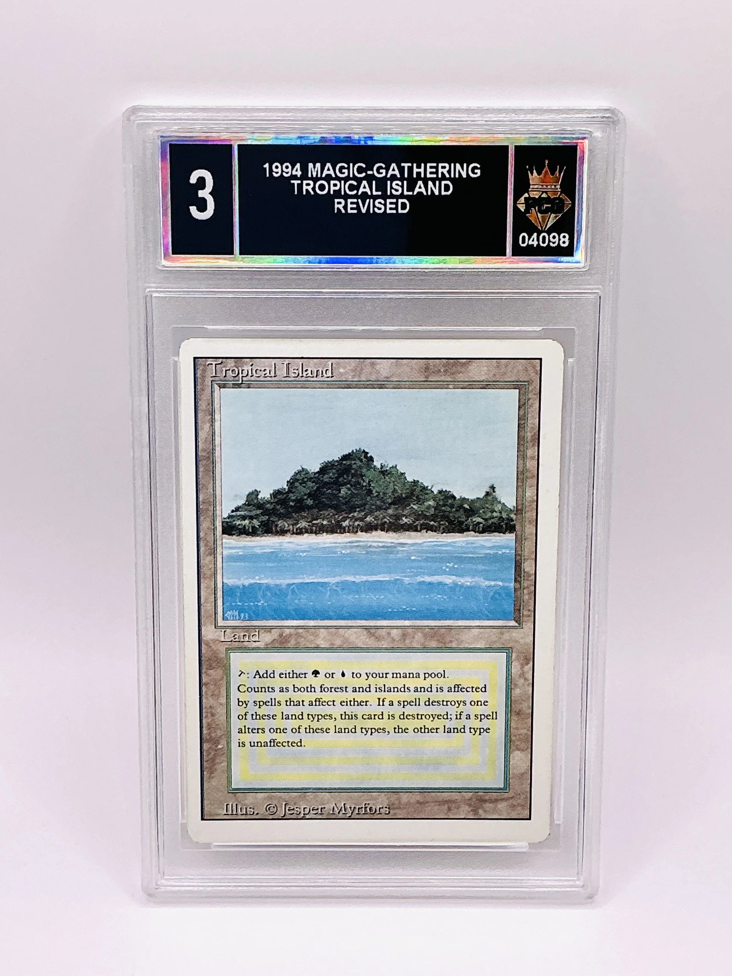 #20260004098 1994 TROPICAL ISLAND 3
