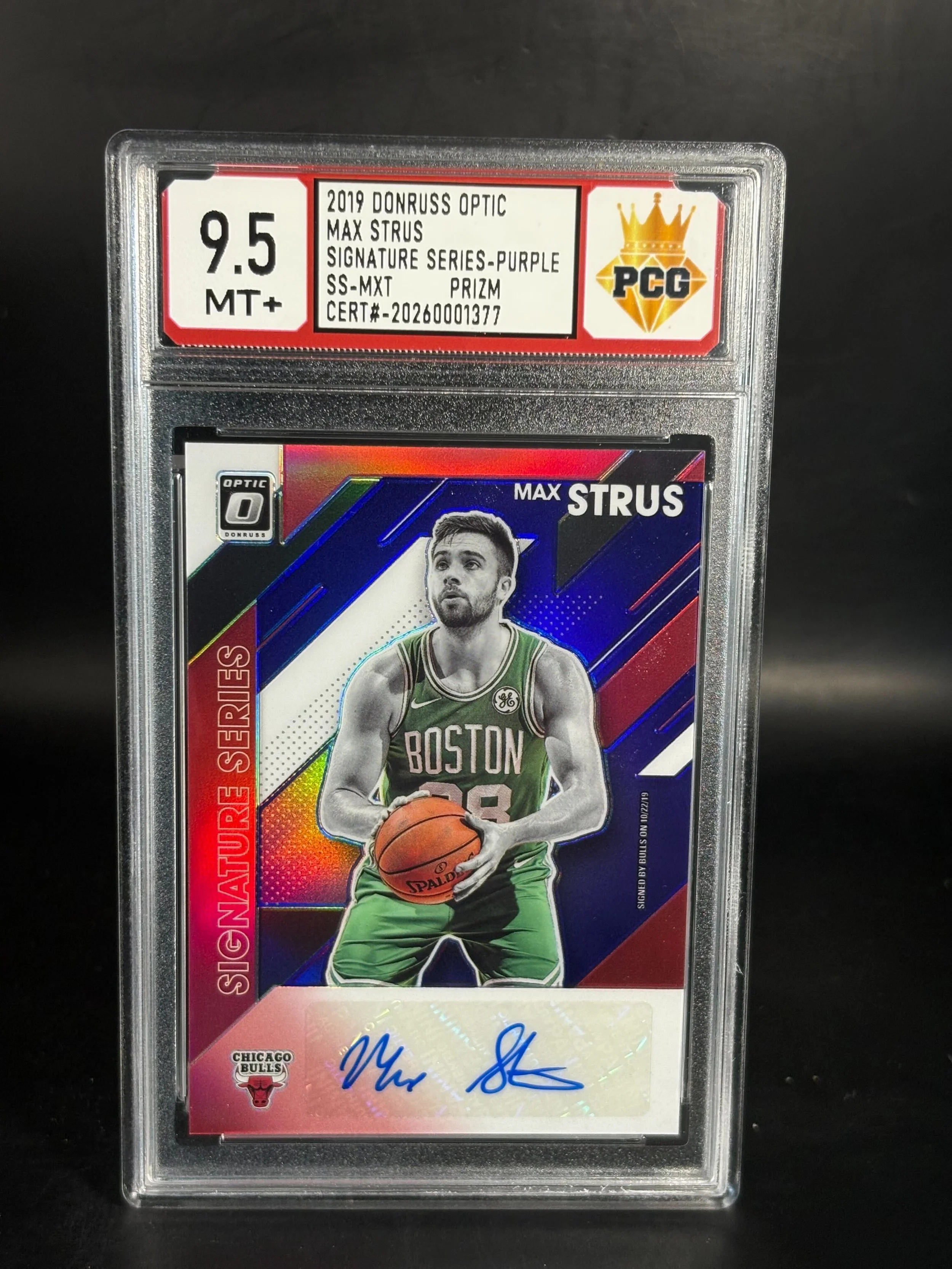 #20250001377 2019 MAX STRUS AUTO 9.5 MT+