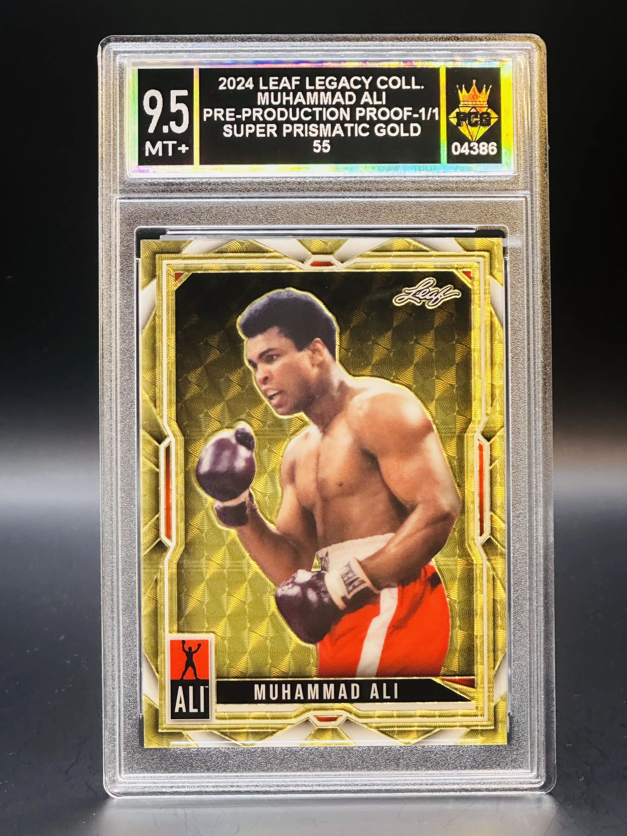#04386 2024 MUHAMMAD ALI 9.5 MT+