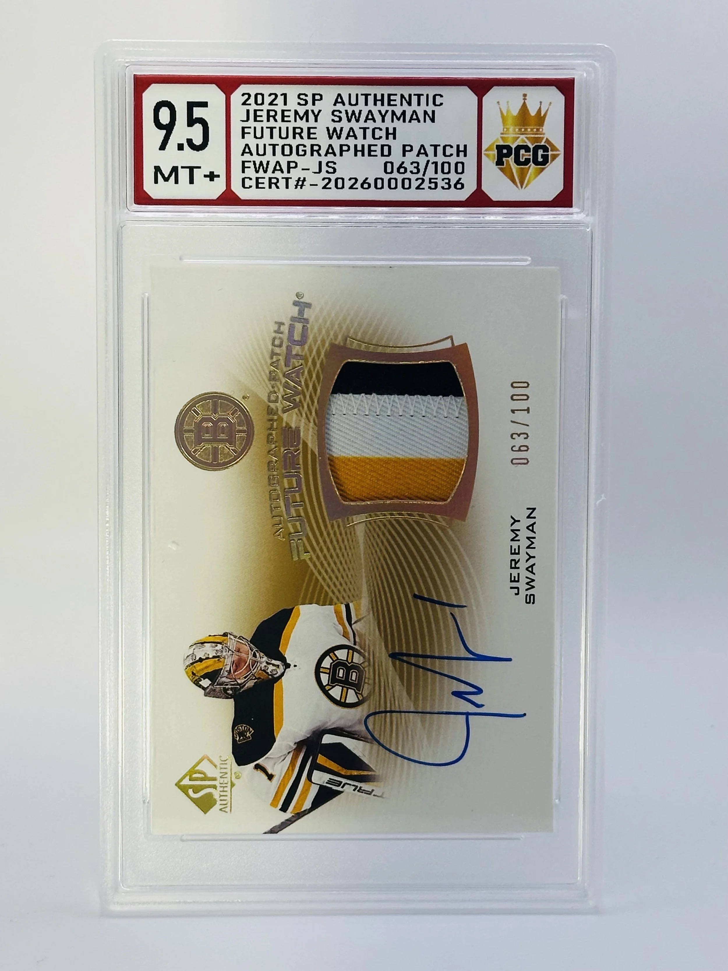 #20260002536  2021 JEREMY SWAYMAN 9.5 MT+