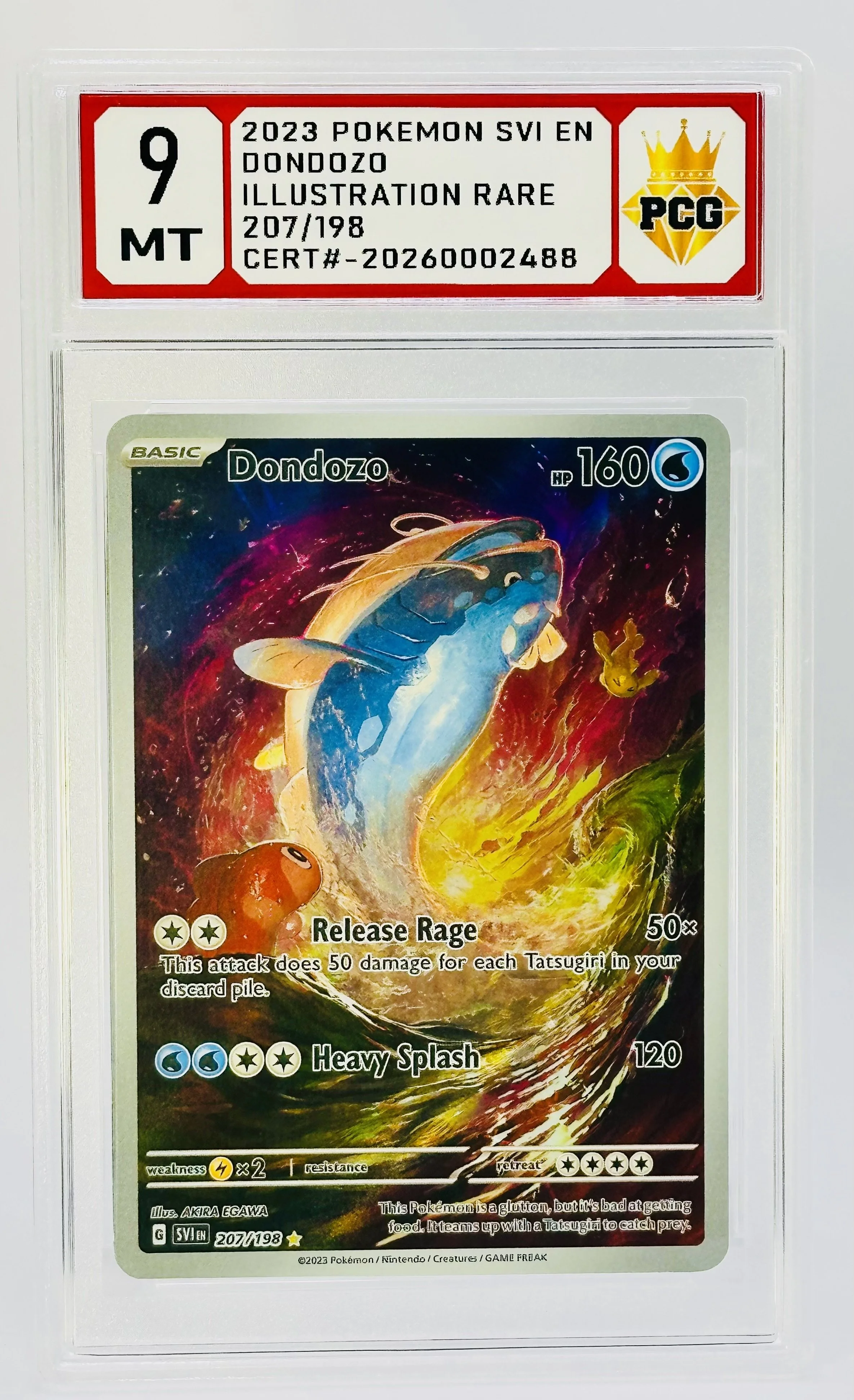 #20260002488 2023 DONDOZO 9 MT