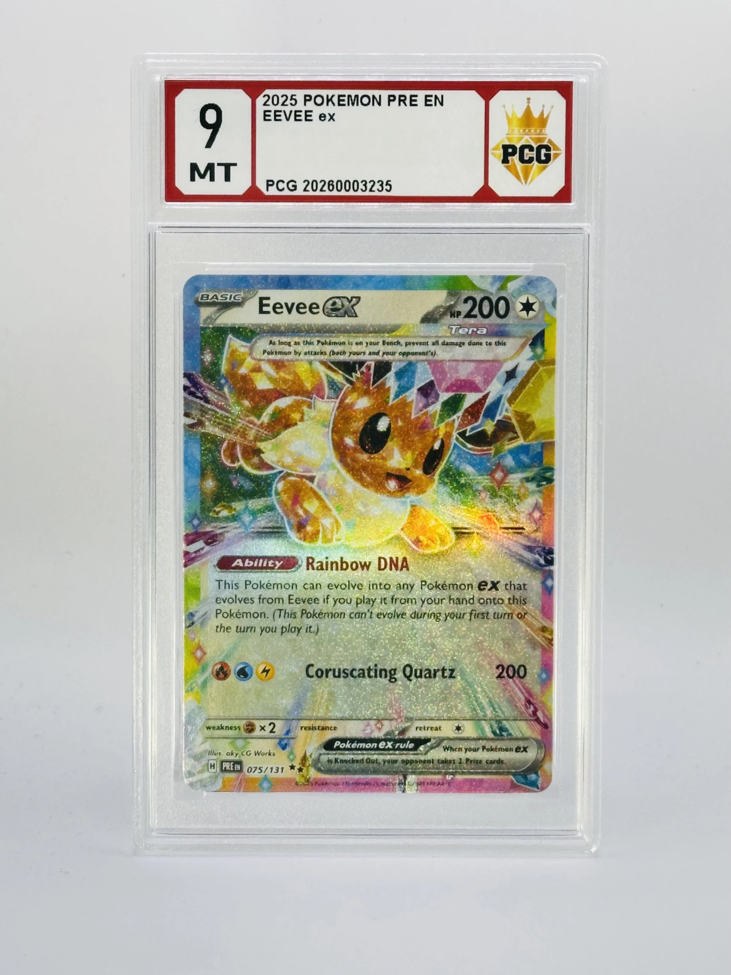 #20250003235 2025 EEVEE EX 9 MT